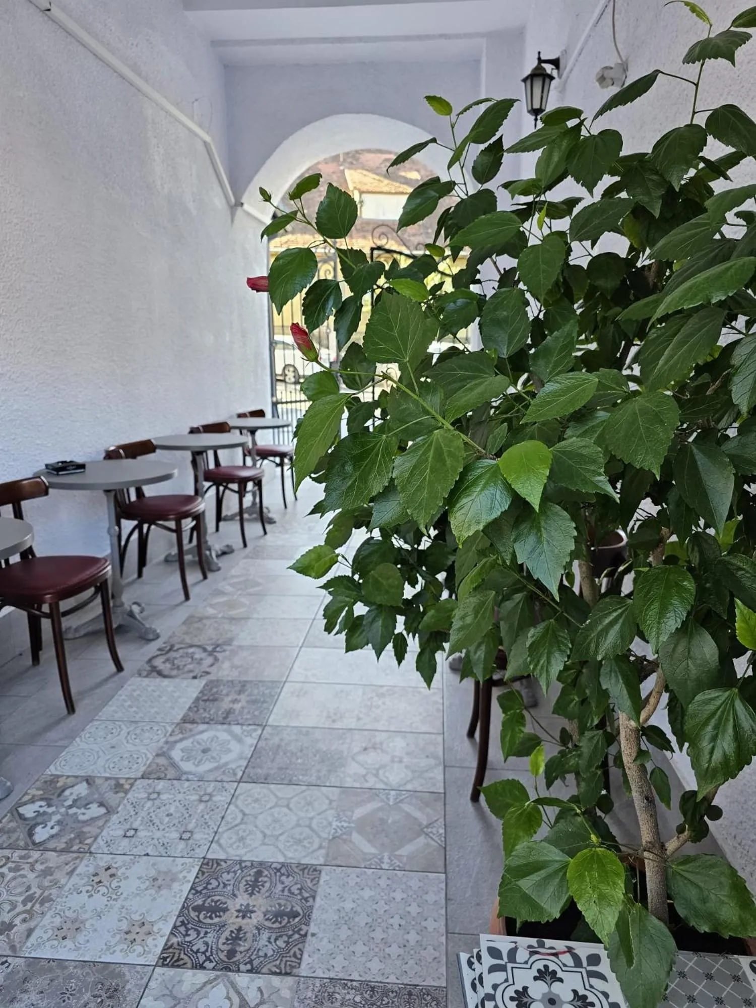 Property building in Hotel Apollonia
