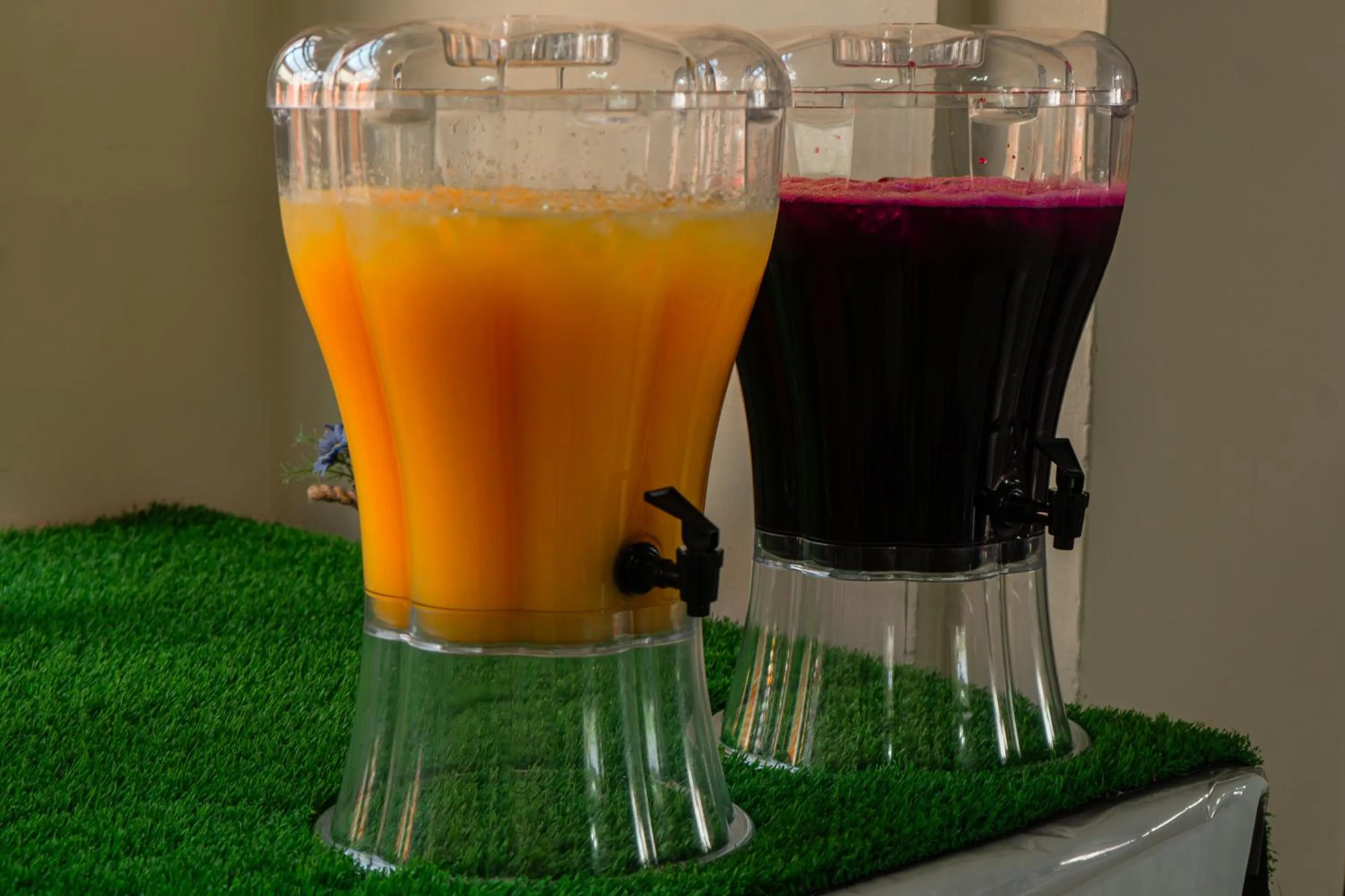 Hotel del Carmen, en el Centro- DESAYUNO Incluido !