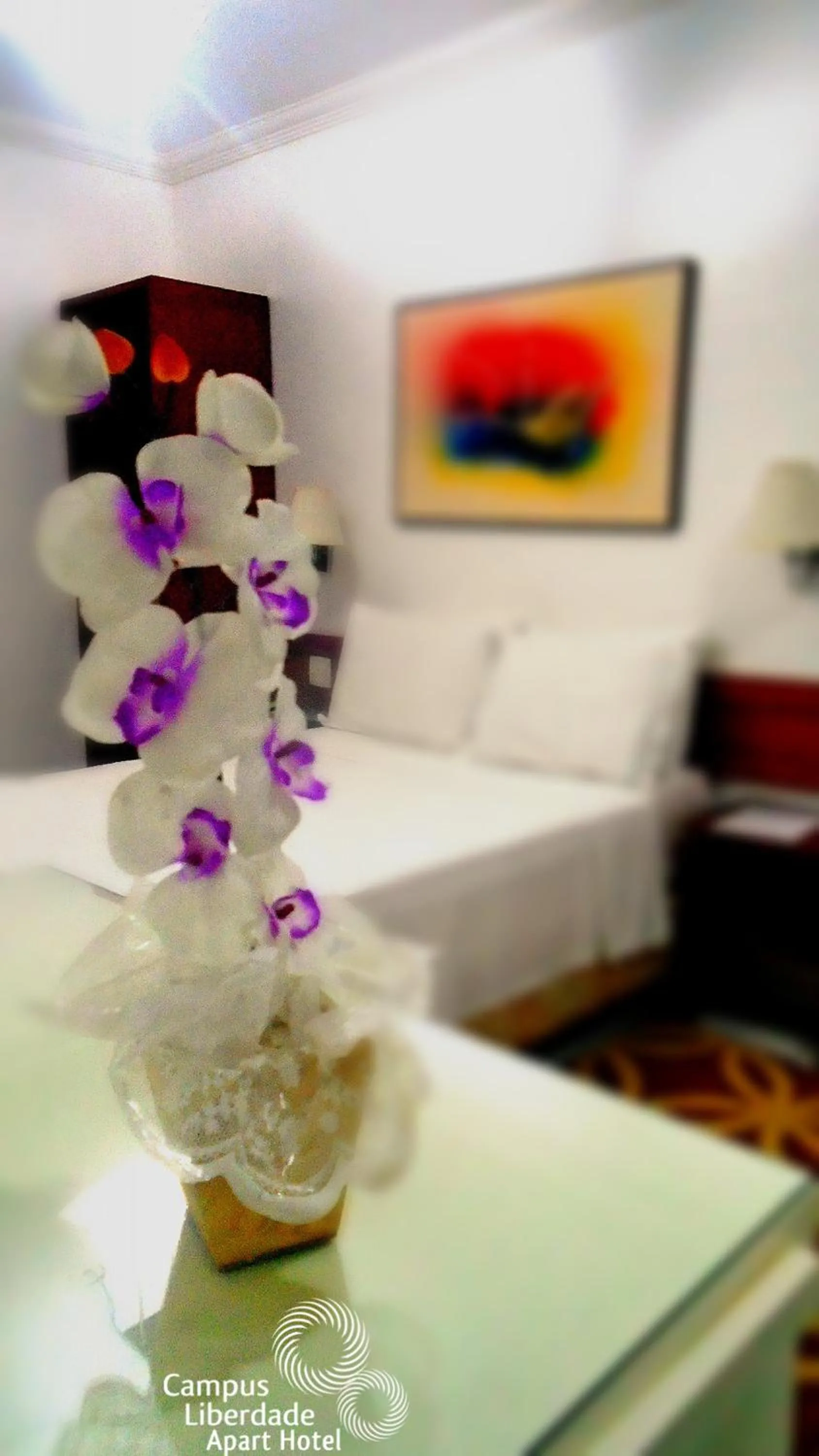 Bed in Campus Liberdade Flat