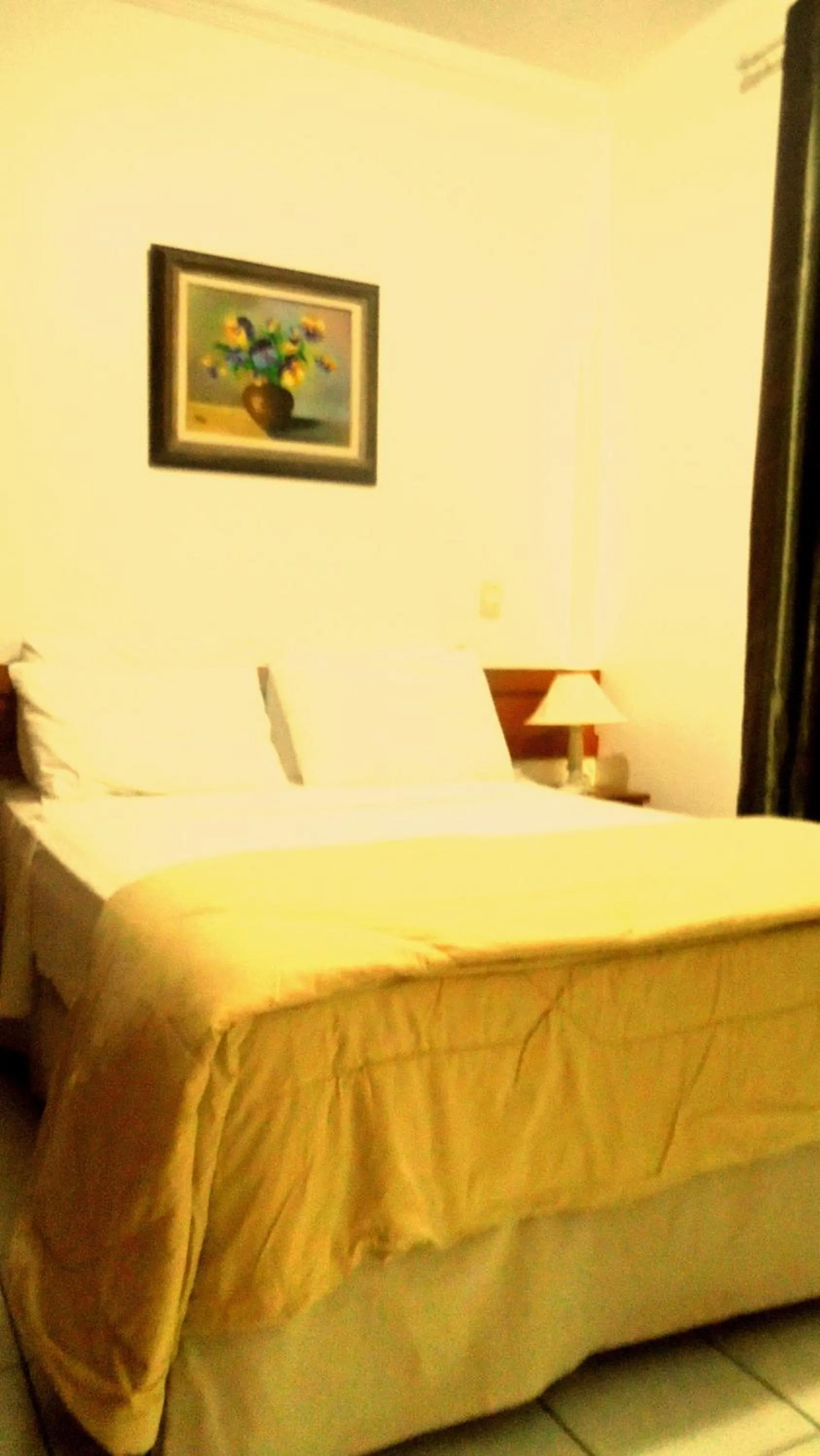 Bed in Campus Liberdade Flat