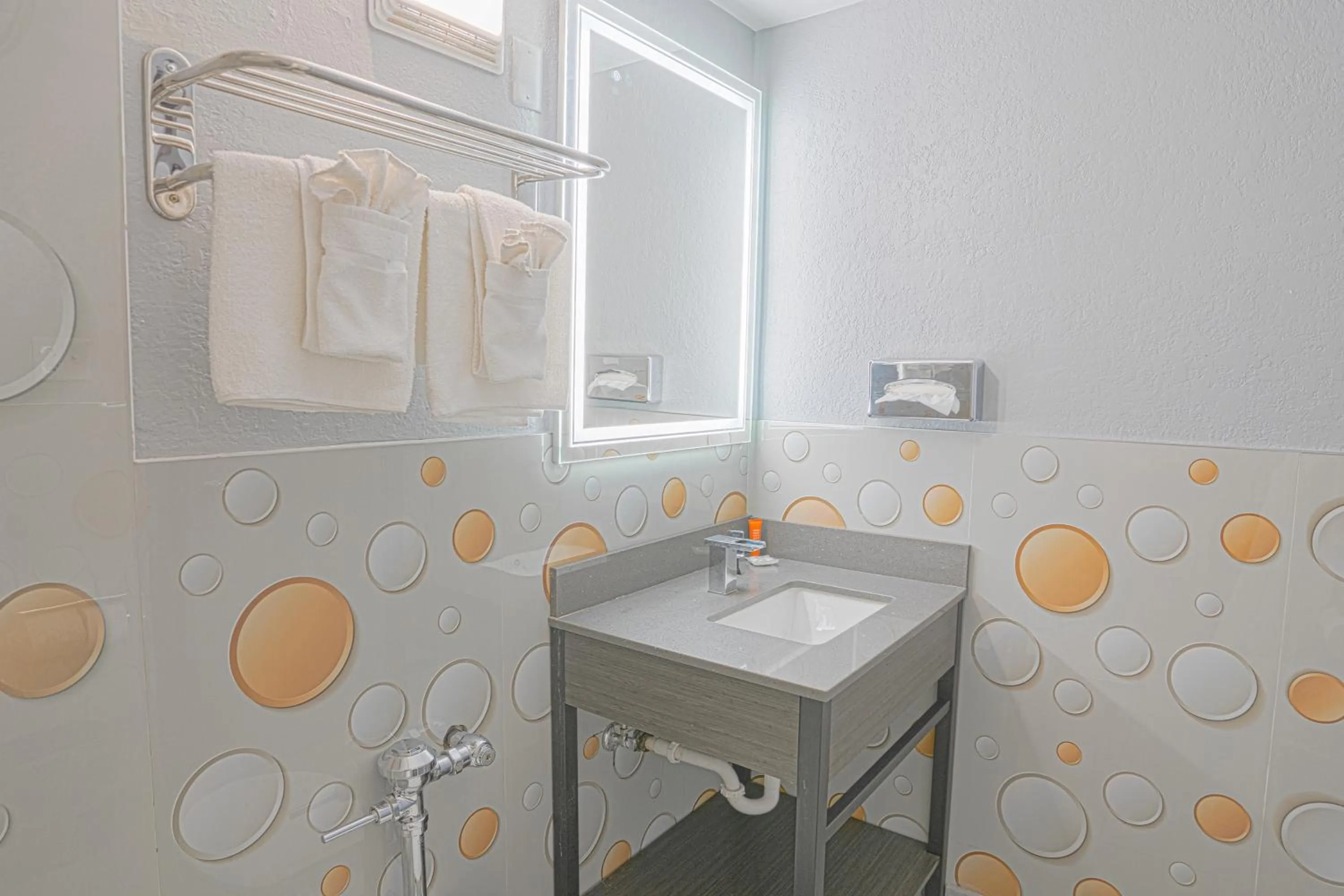 Bathroom in Executive Inn Owatonna Hwy 35