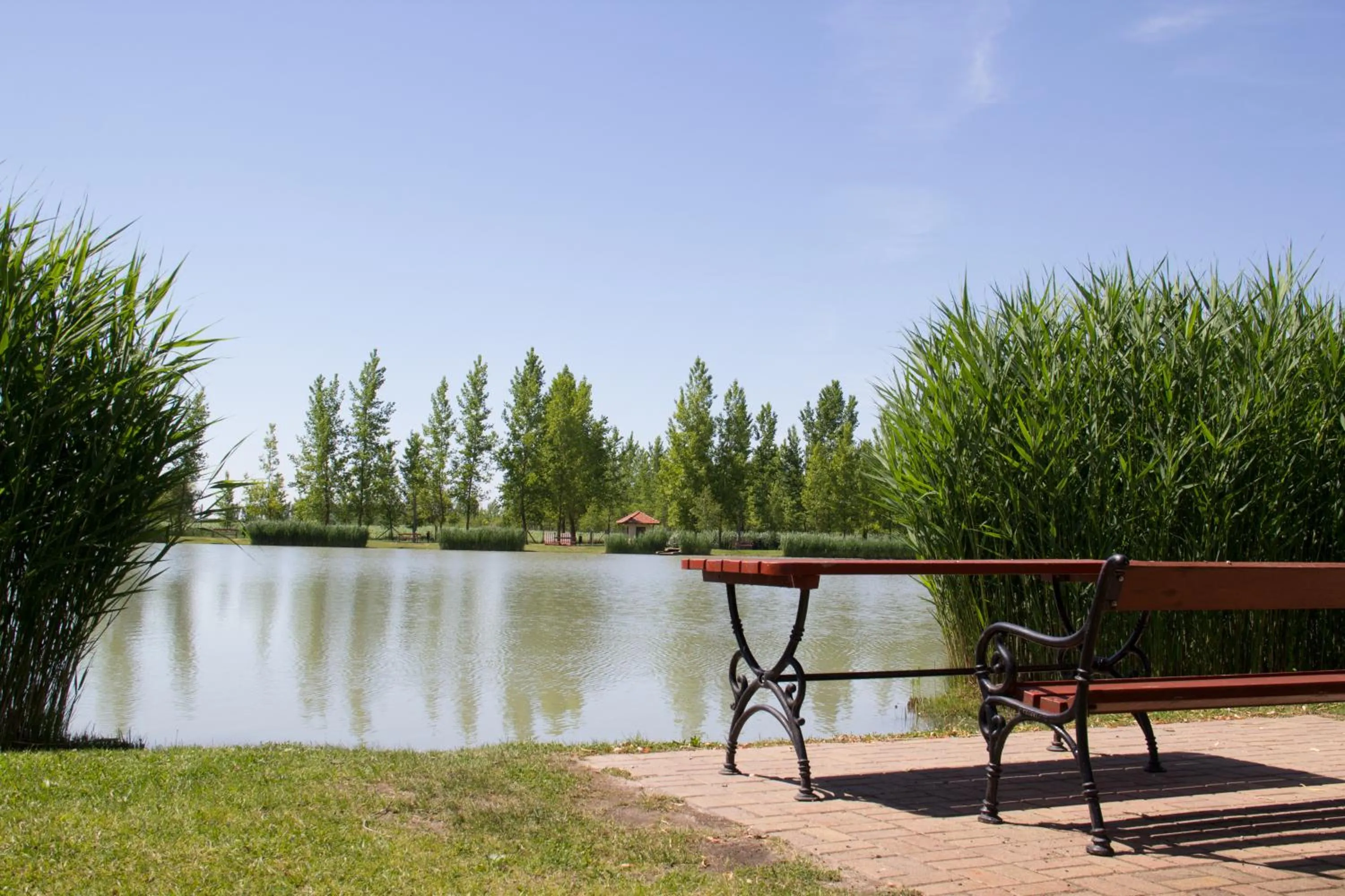 Fishing in Hotel Bíbic és Tüskevár Étterem és Horgásztó