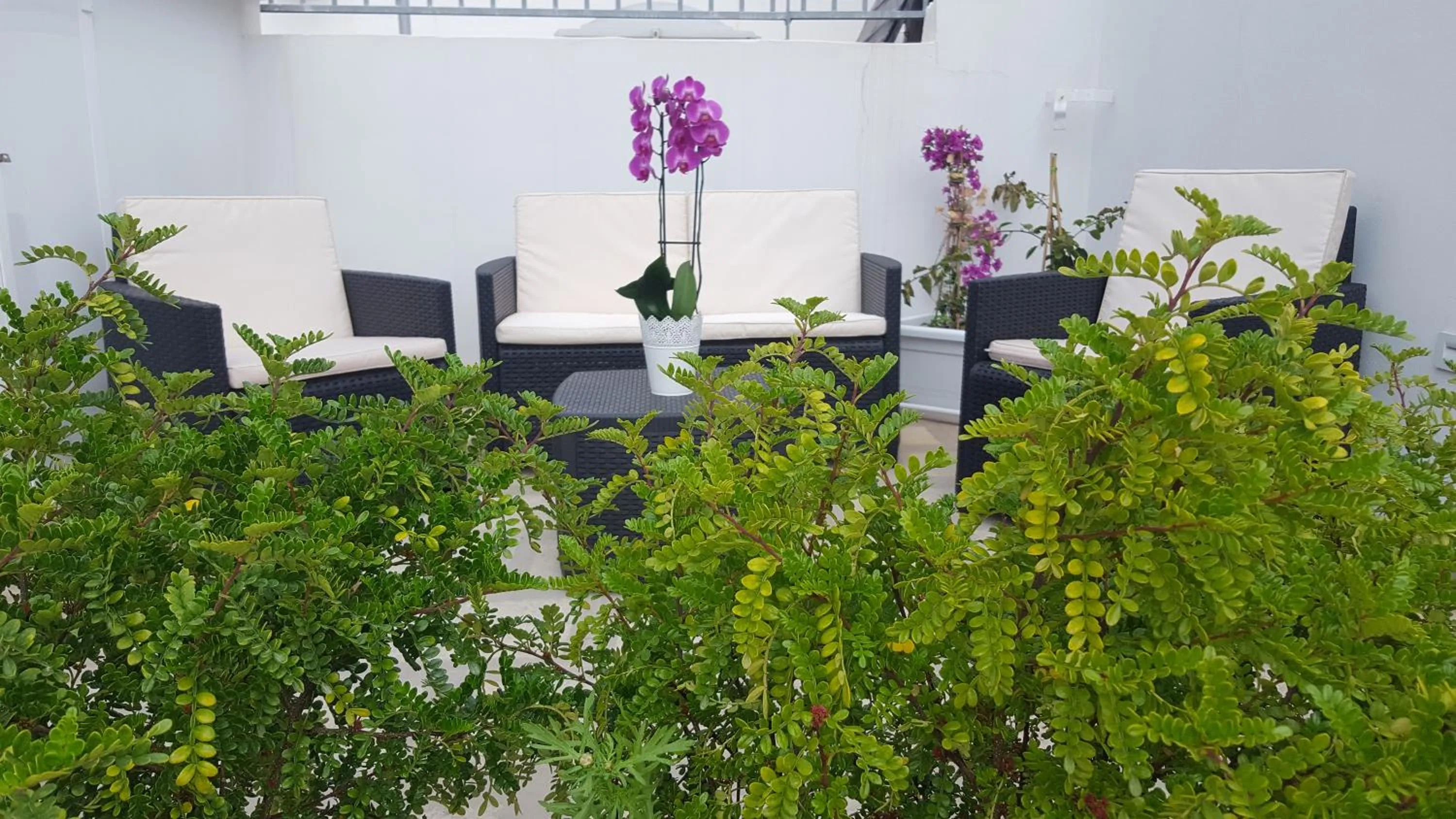 Balcony/Terrace in Torres Suite