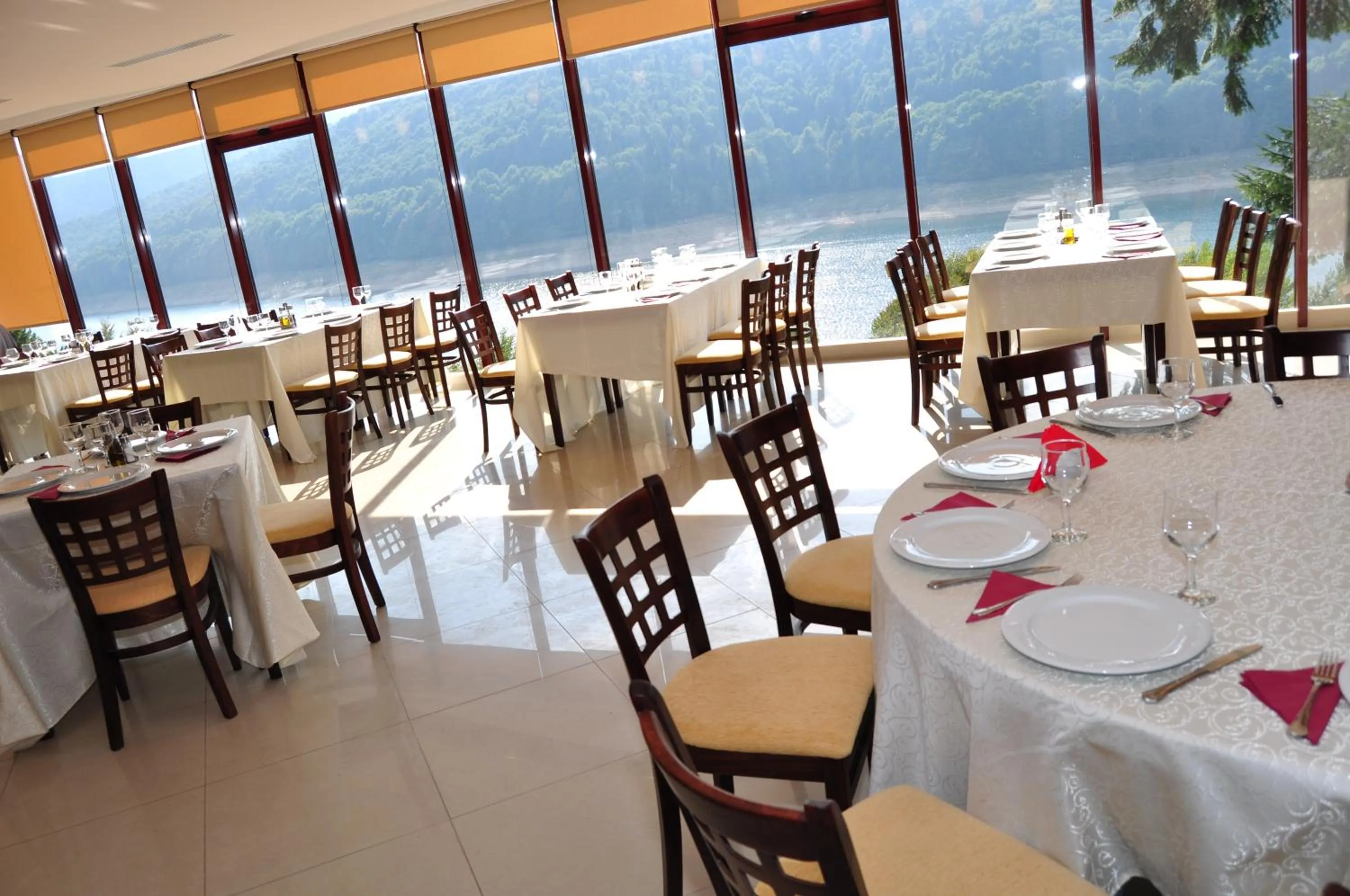 Restaurant/places to eat in Hotel Valea cu Pesti