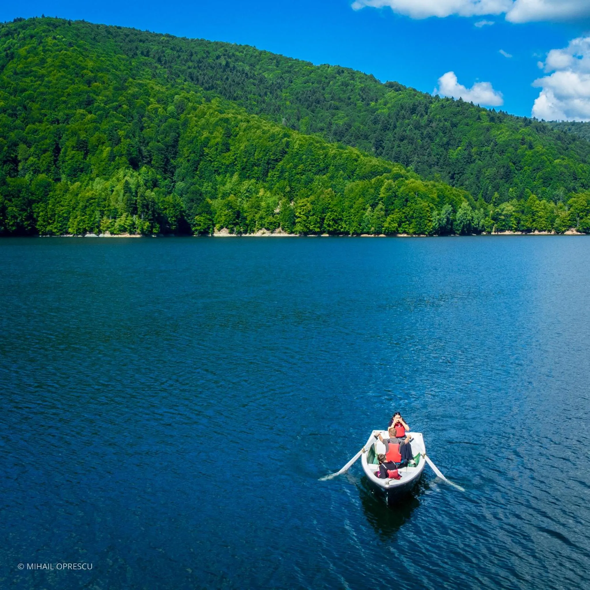 Natural landscape in Hotel Valea cu Pesti