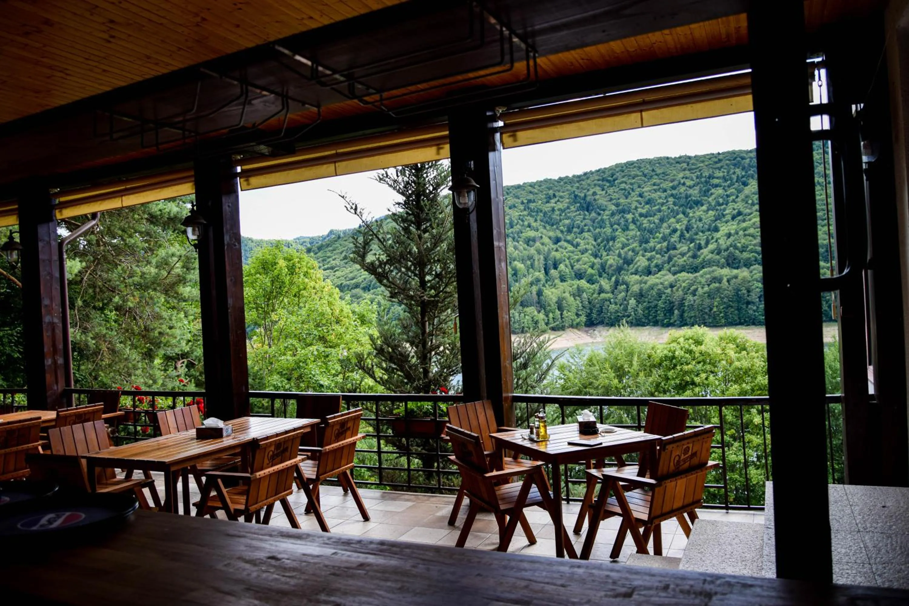 Balcony/Terrace in Hotel Valea cu Pesti