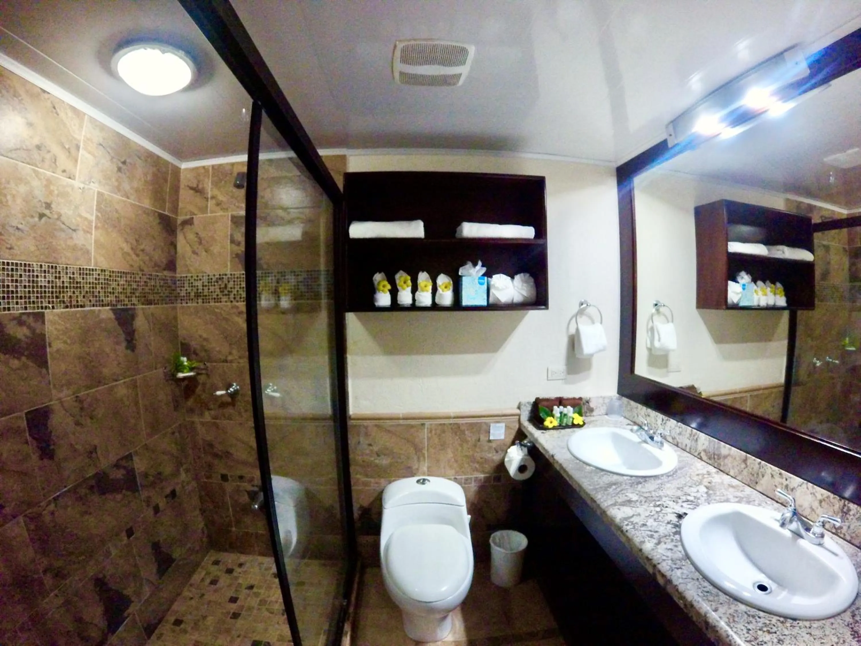 Shower in The Falls at Manuel Antonio