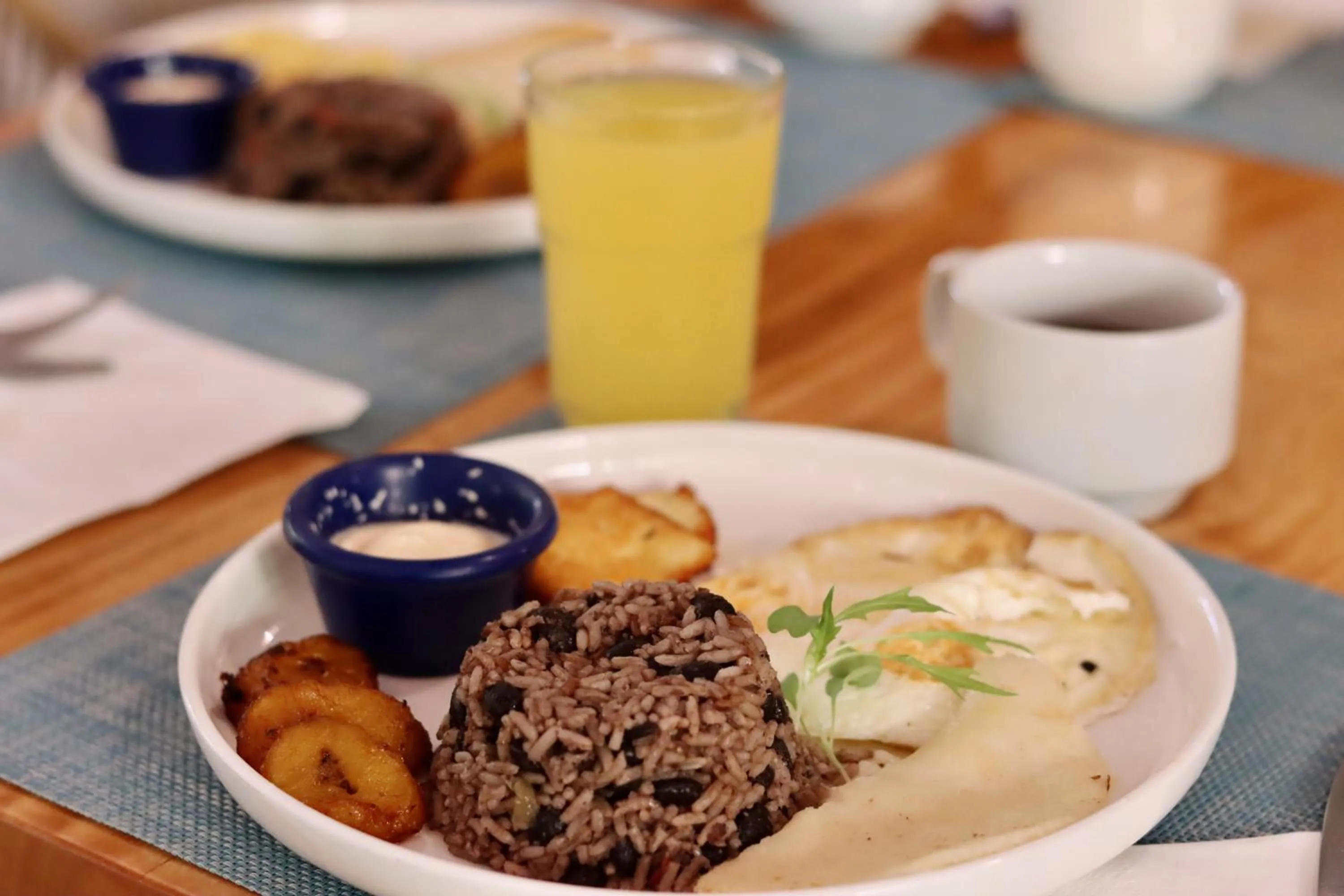 The Falls at Manuel Antonio
