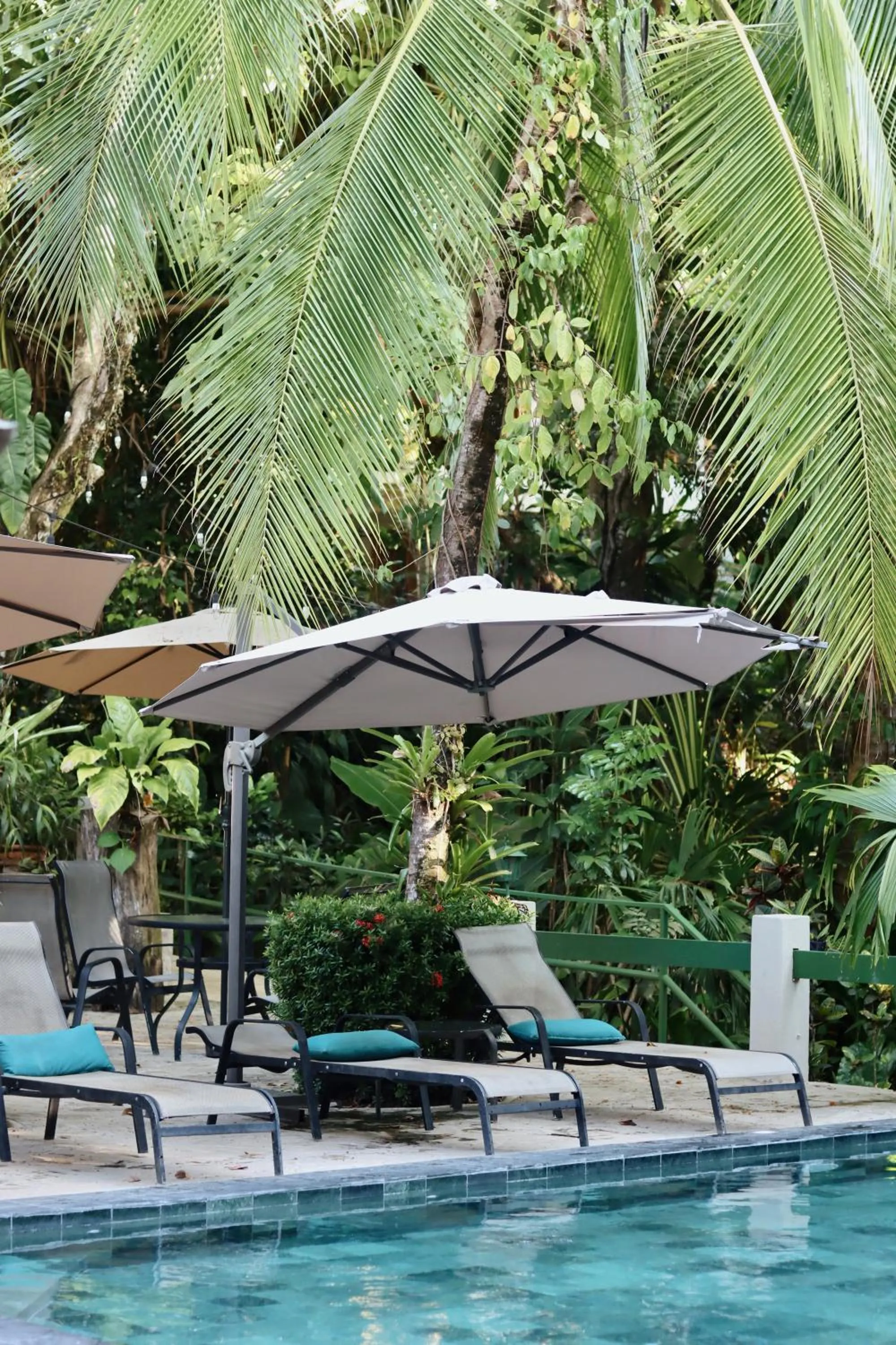 The Falls at Manuel Antonio