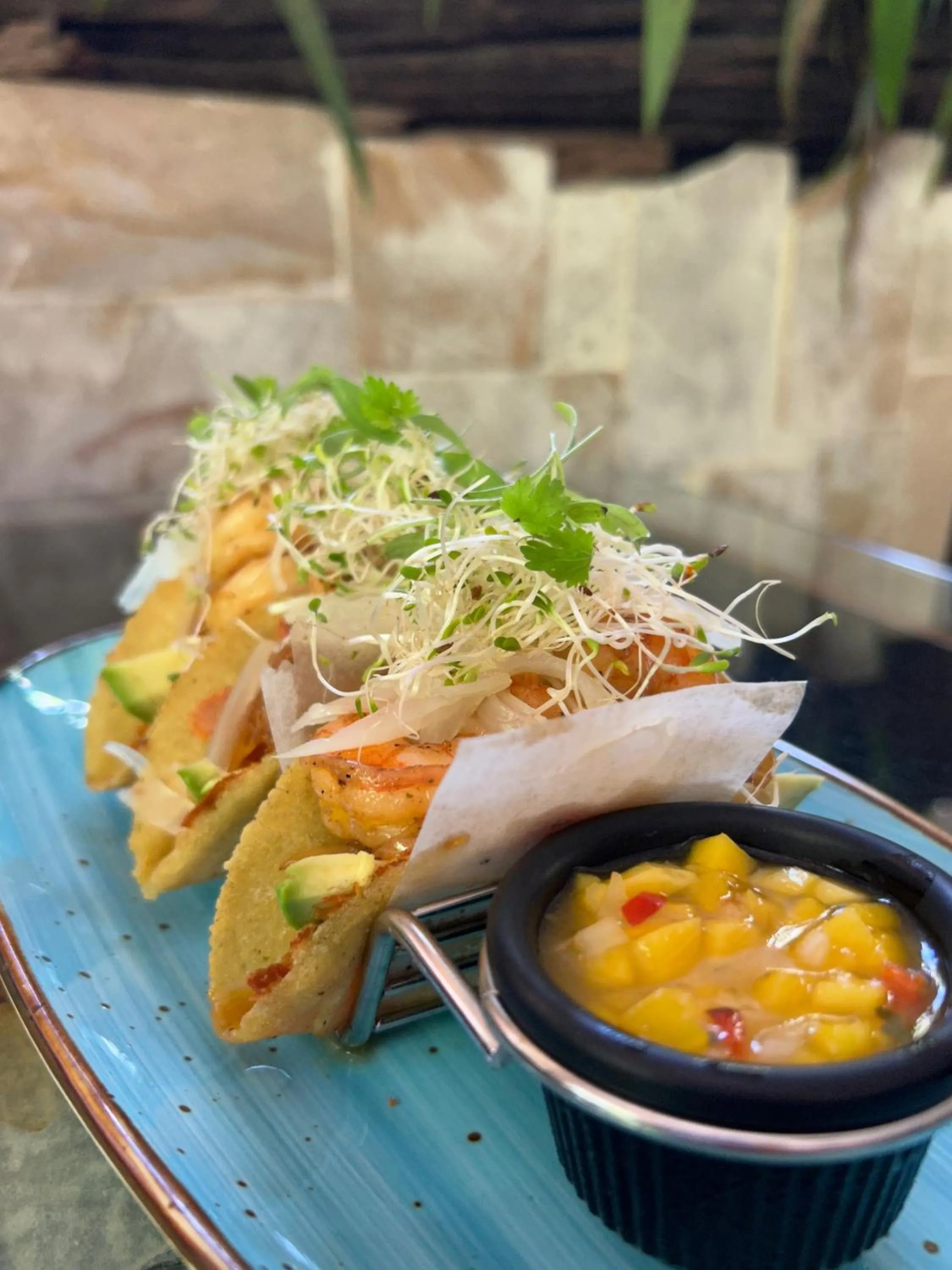 The Falls at Manuel Antonio