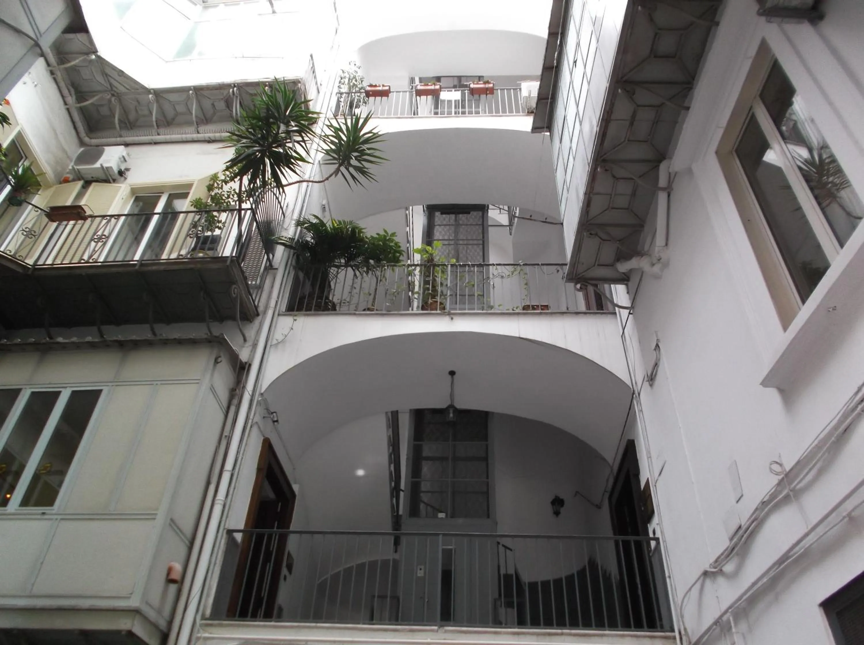 Patio in Santa Lucia 50