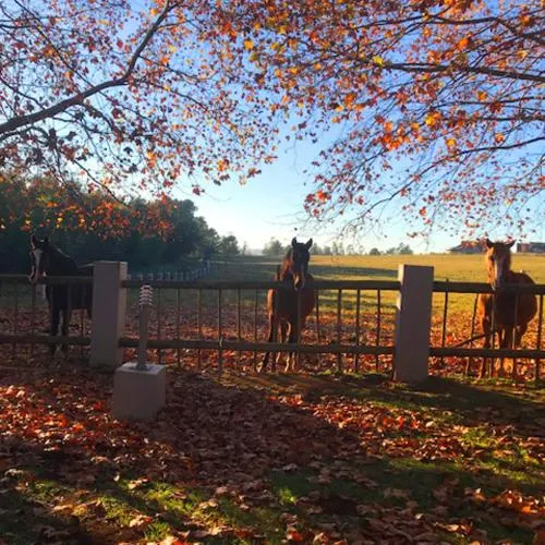 Property building in Mount Shekinah Country Hotel