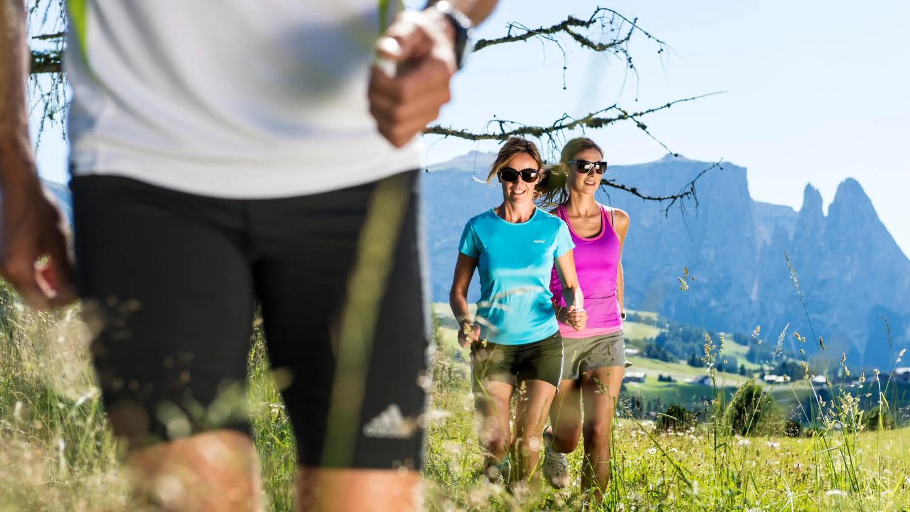 Natural landscape in Hotel Cavallino D'Oro Bed&Breakfast