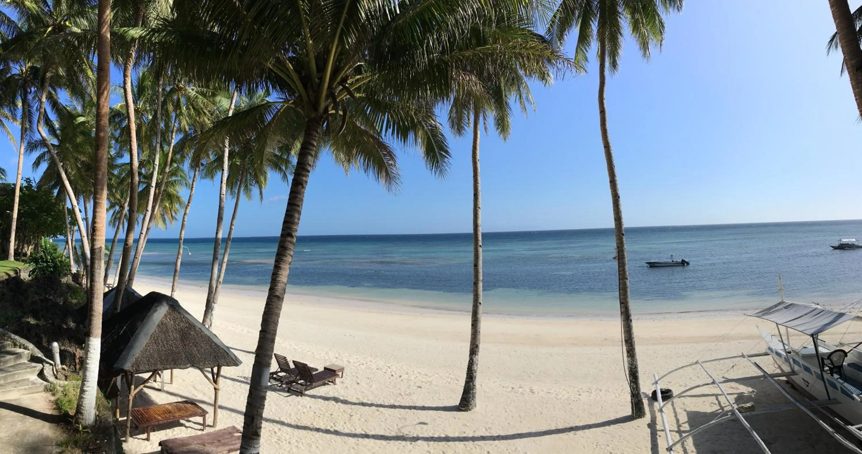 Beach in Anda White Beach Resort