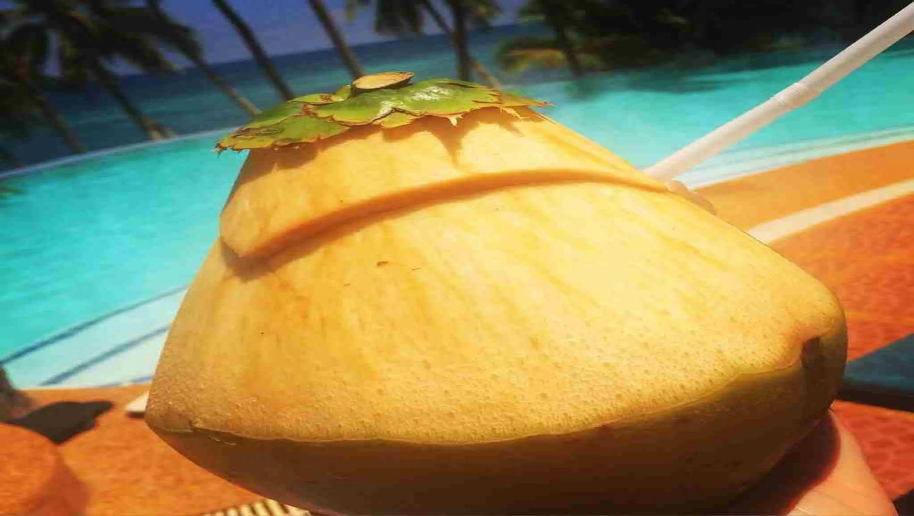 Day in Anda White Beach Resort