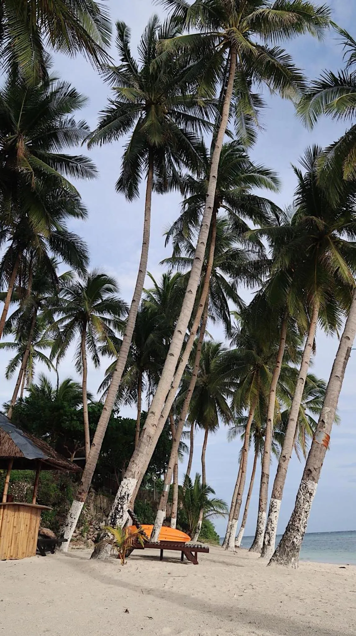 Anda White Beach Resort