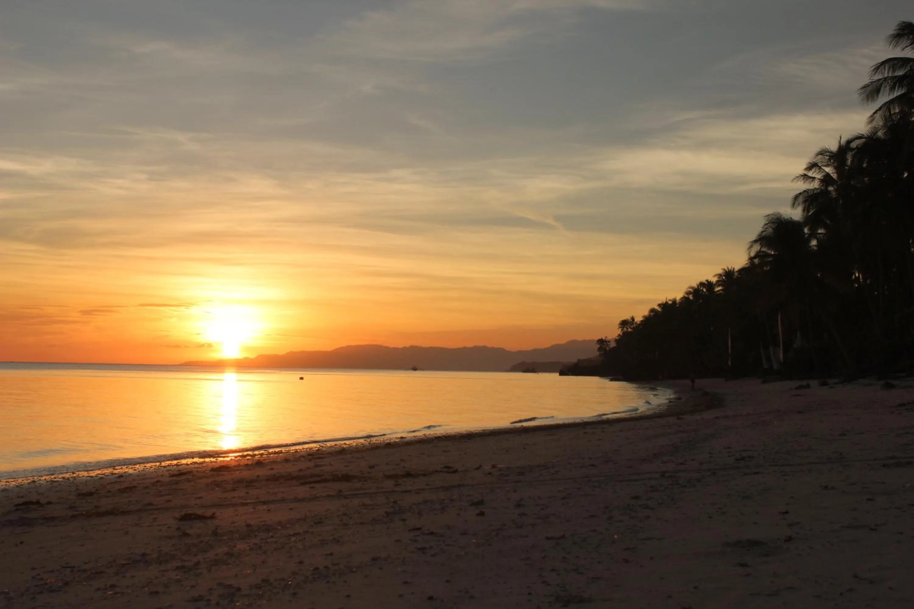 Beach in Anda White Beach Resort