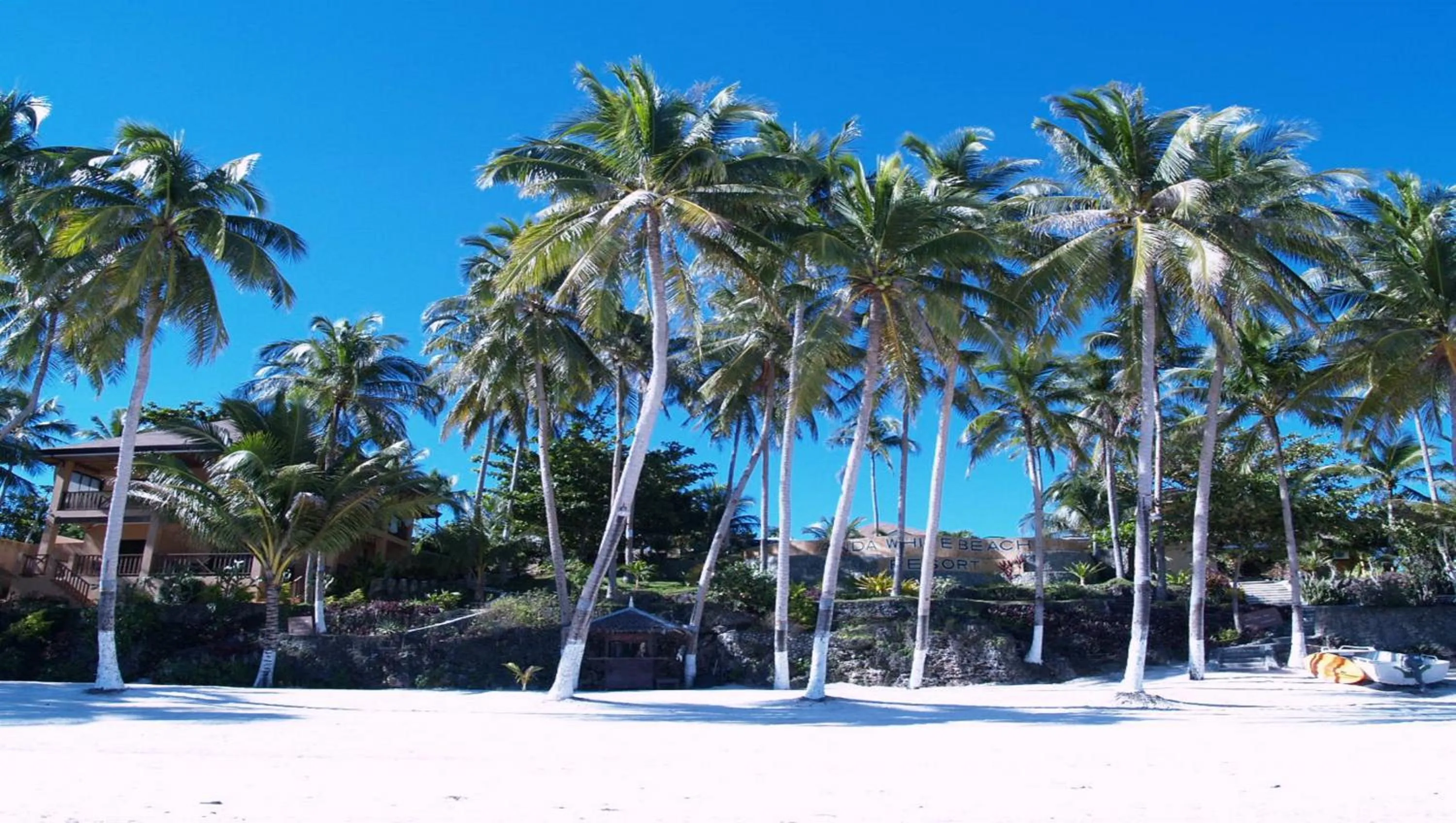 Day in Anda White Beach Resort