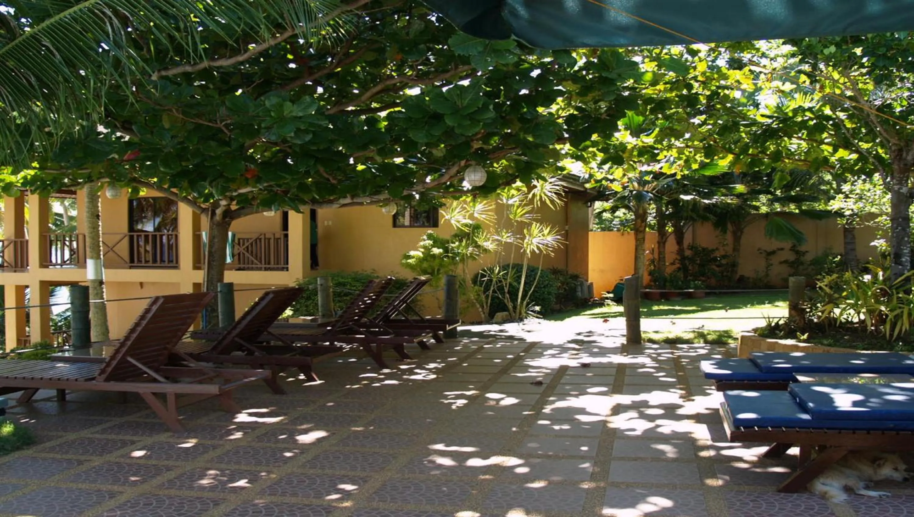 Day in Anda White Beach Resort