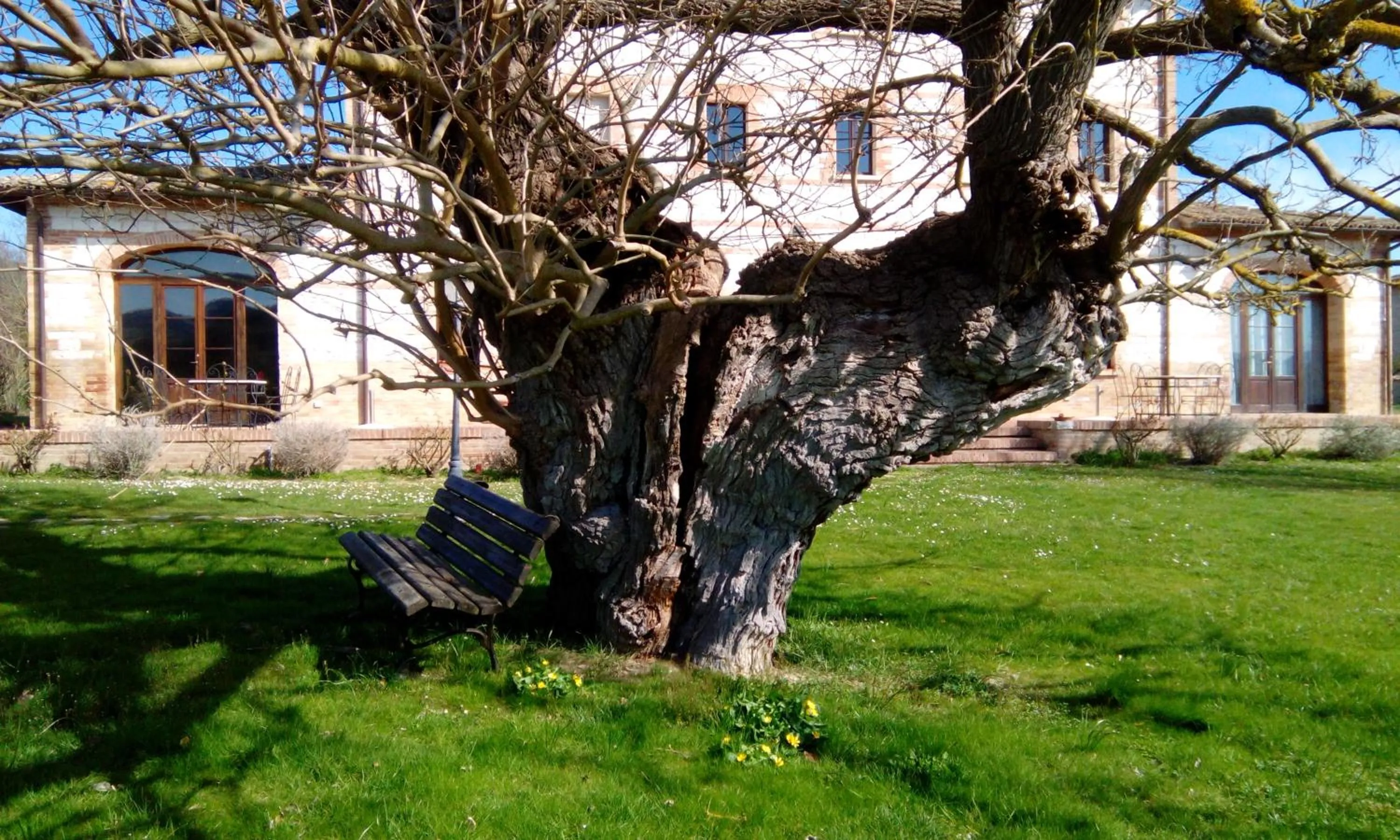 Garden in Parco Ducale Country House