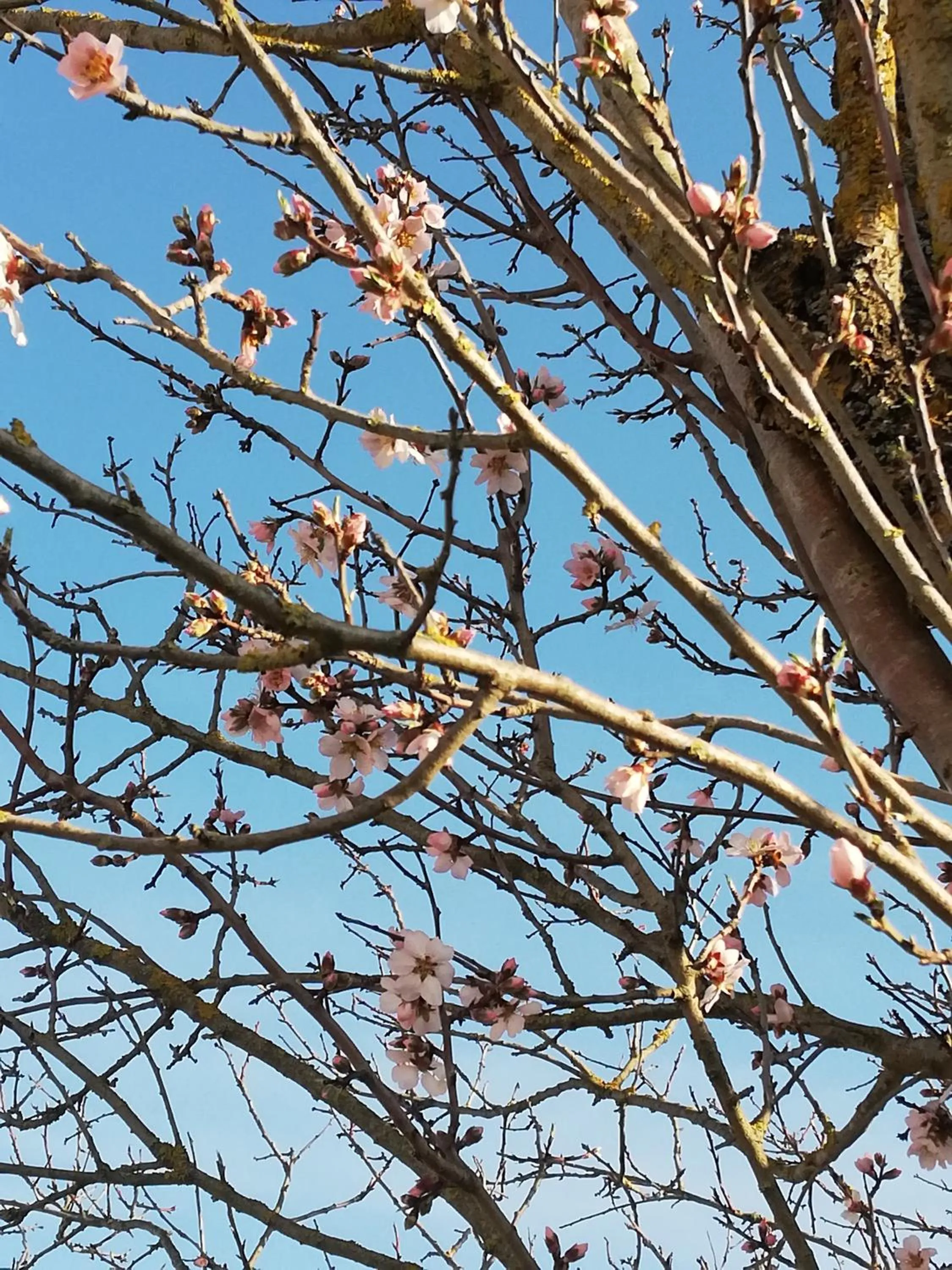 Garden view in Parco Ducale Country House