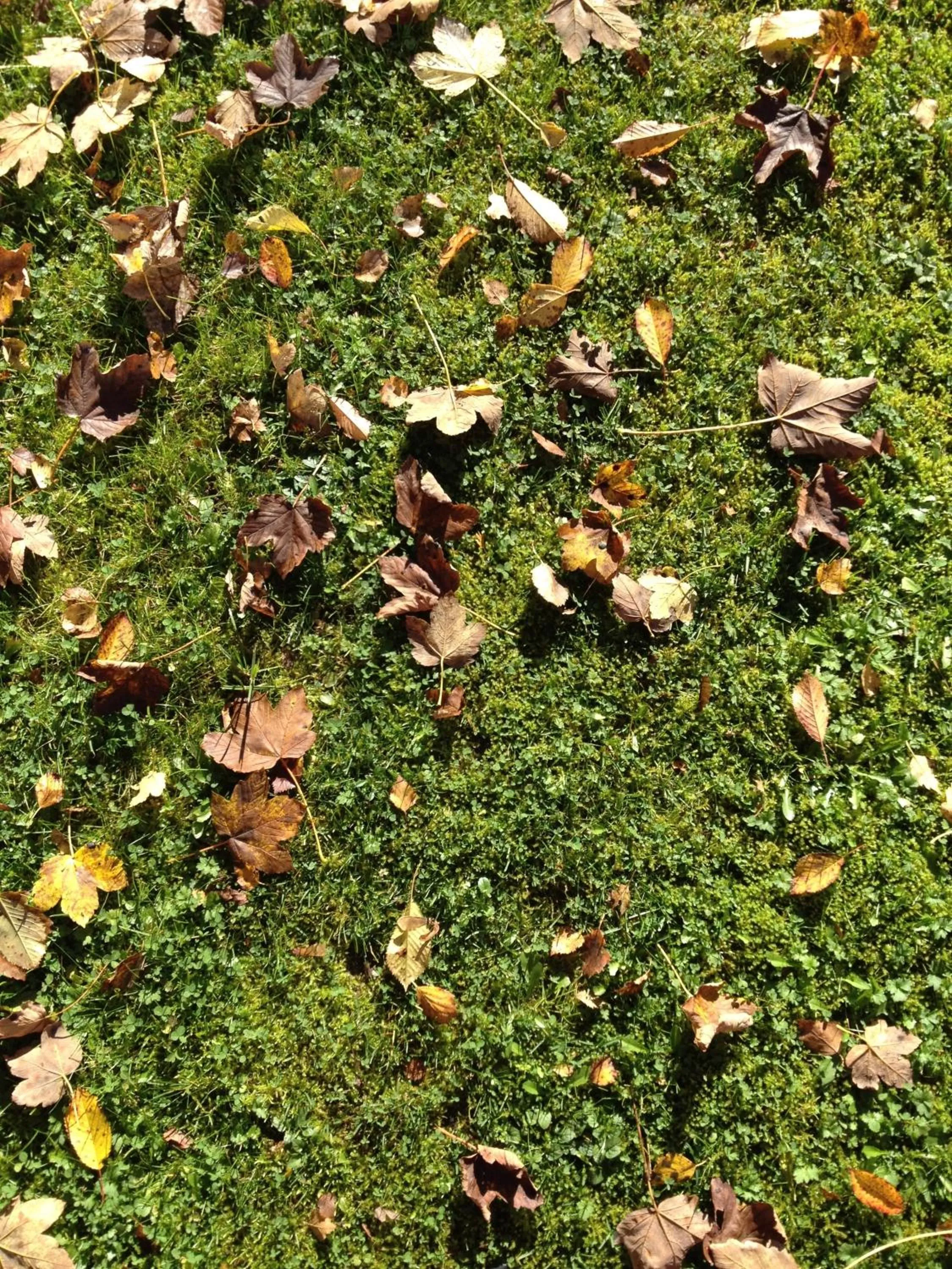 Other in Hotel am Bach