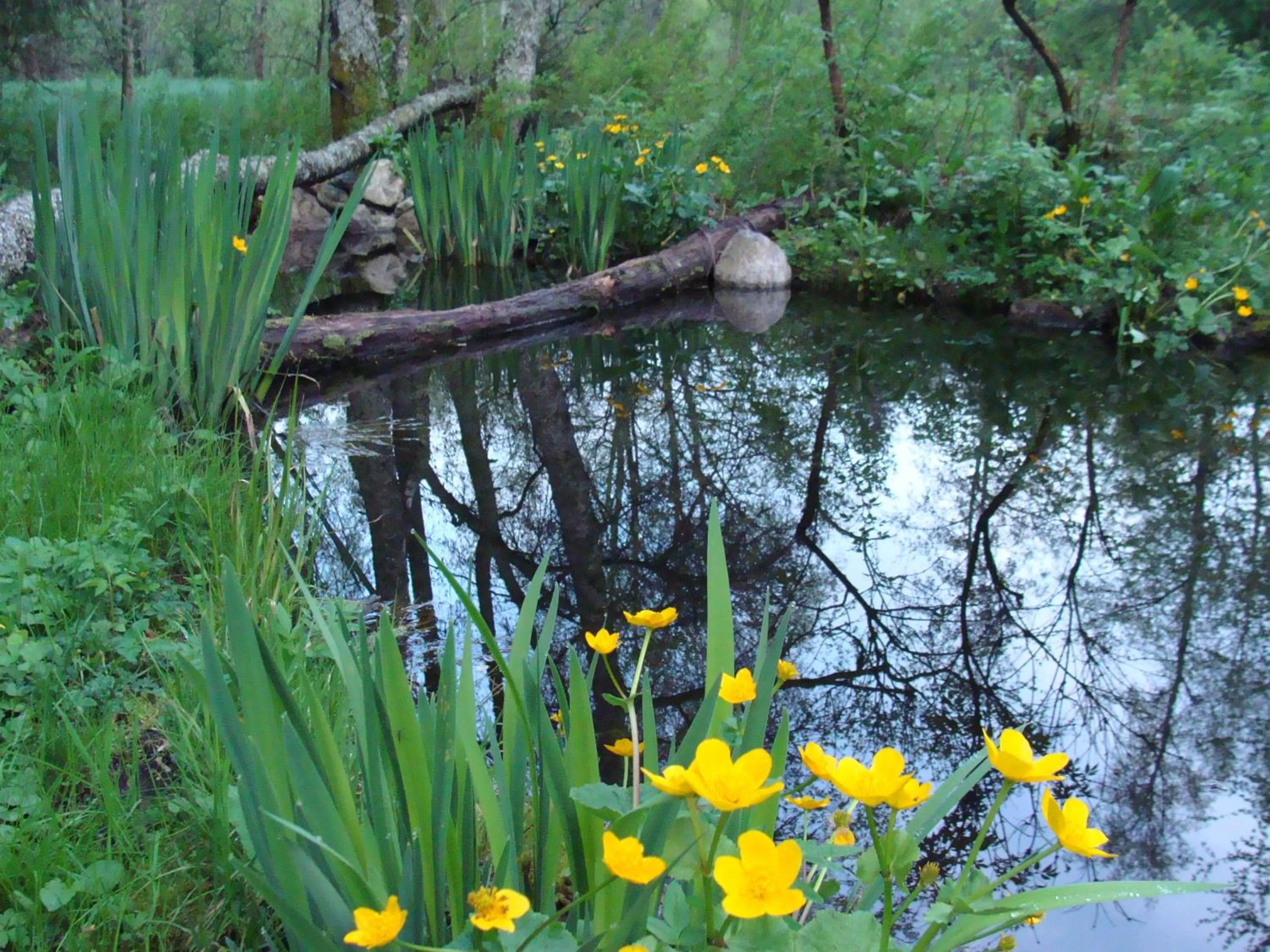 Day in Hotel am Bach
