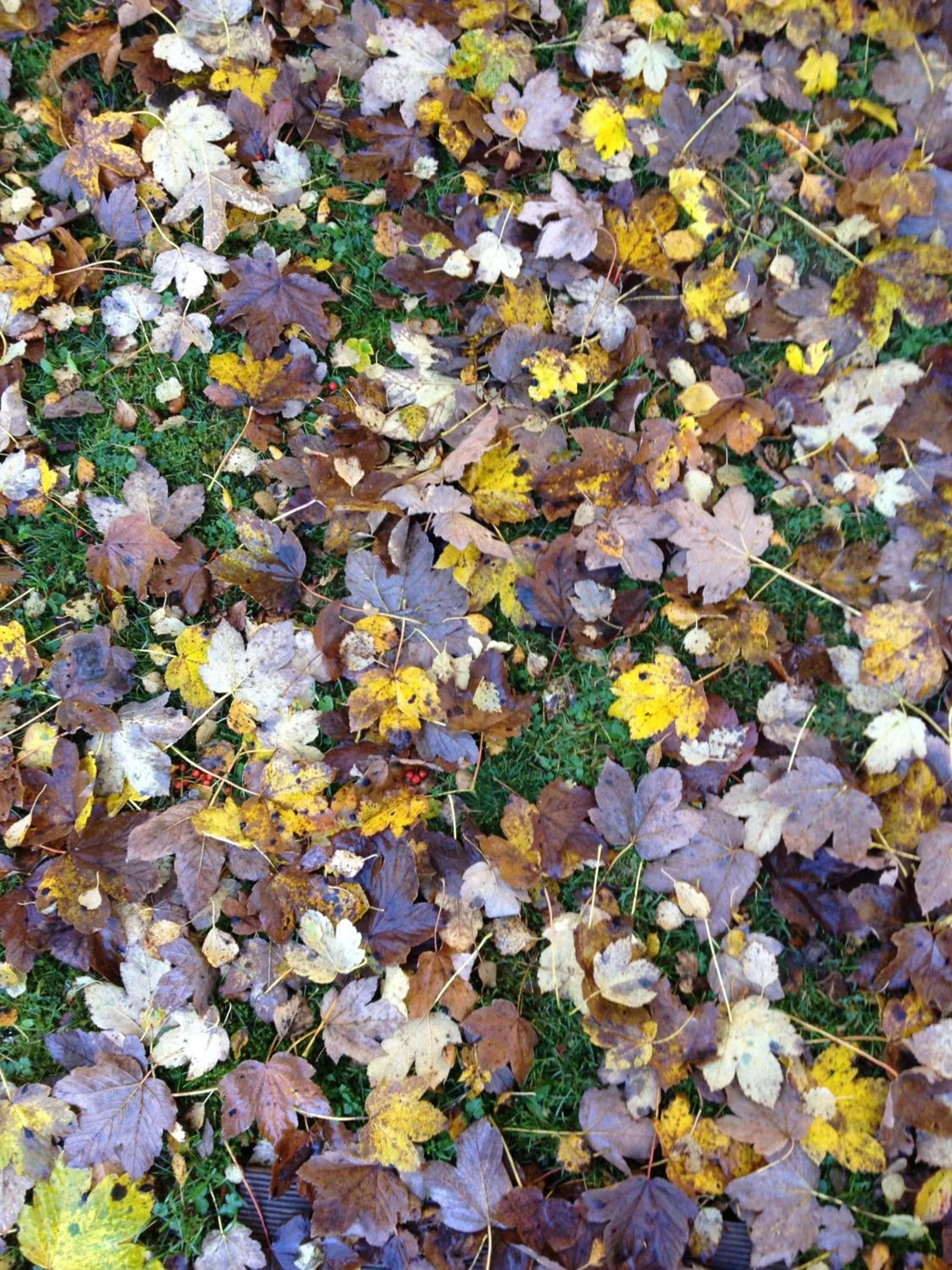 Other in Hotel am Bach