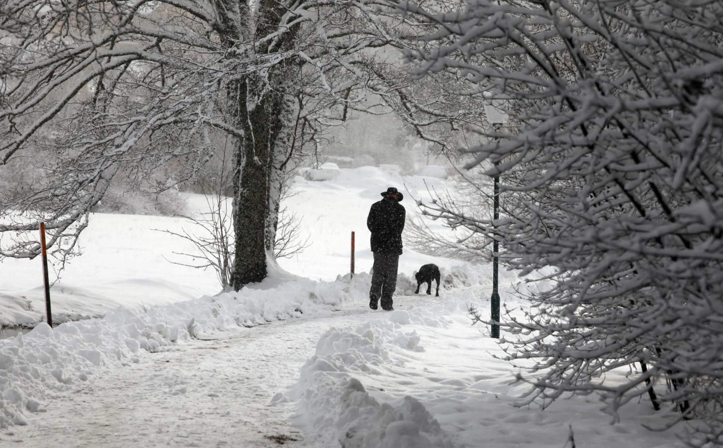 Area and facilities in Hotel am Bach