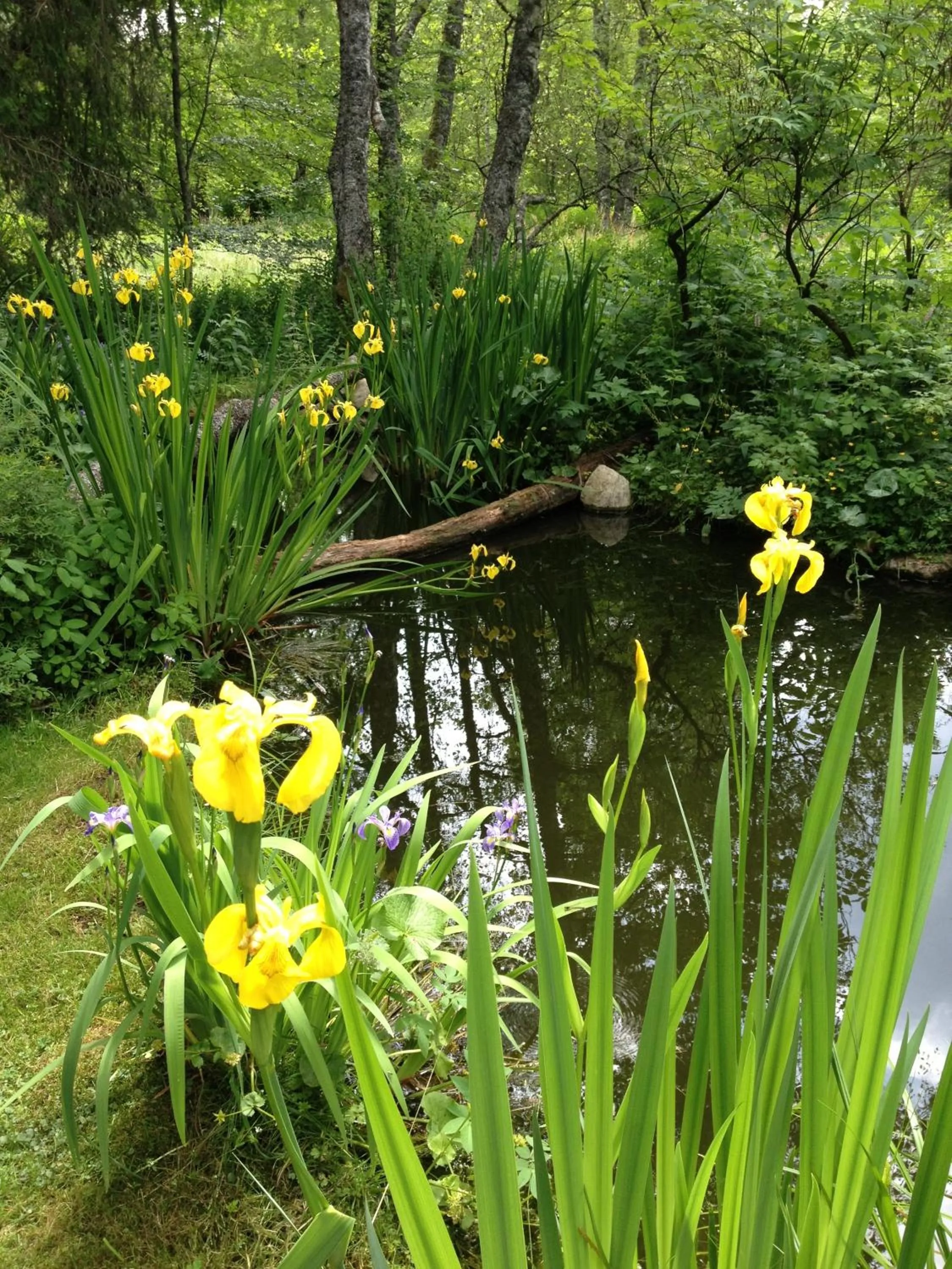 Day in Hotel am Bach