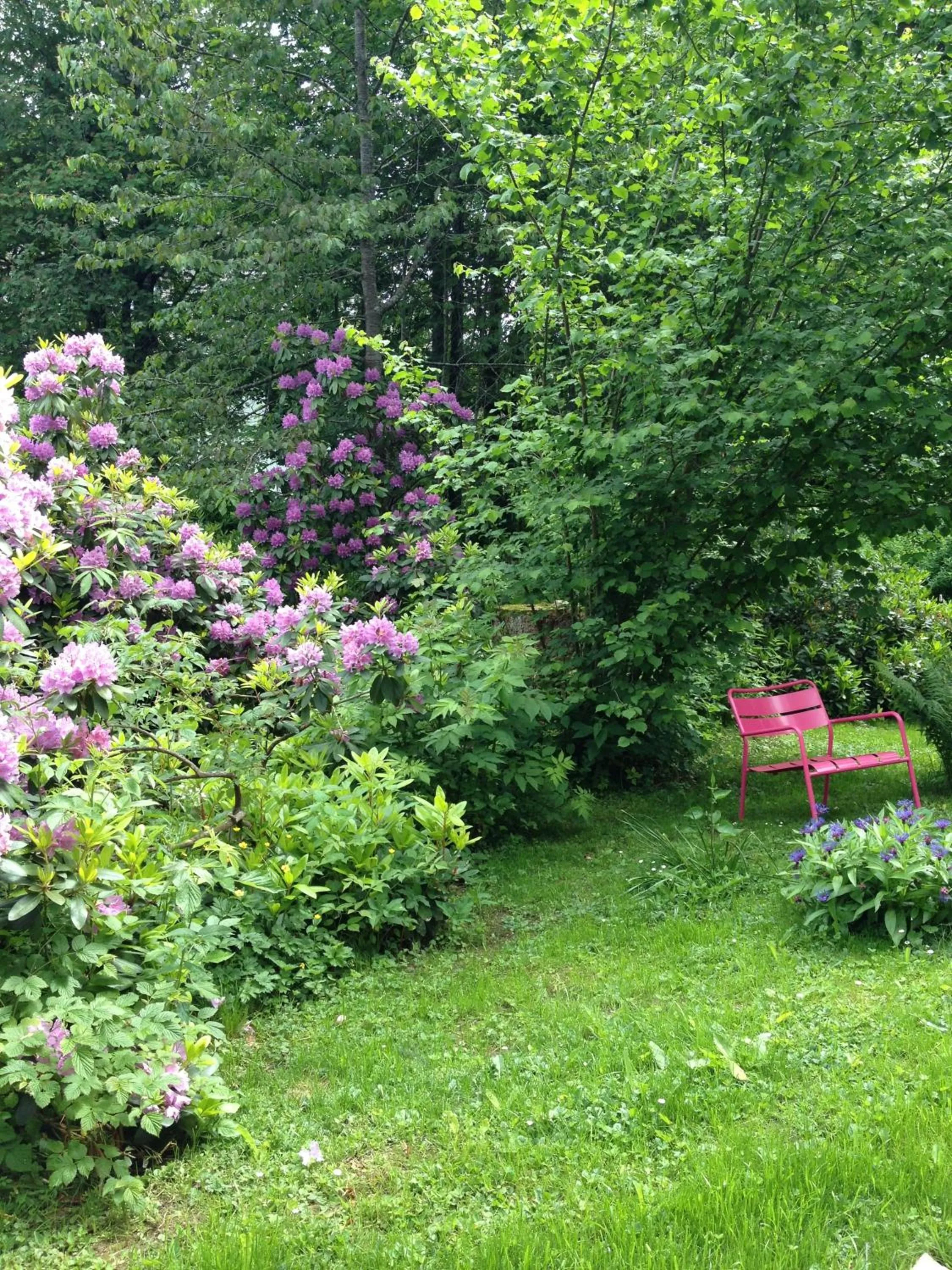 Day in Hotel am Bach