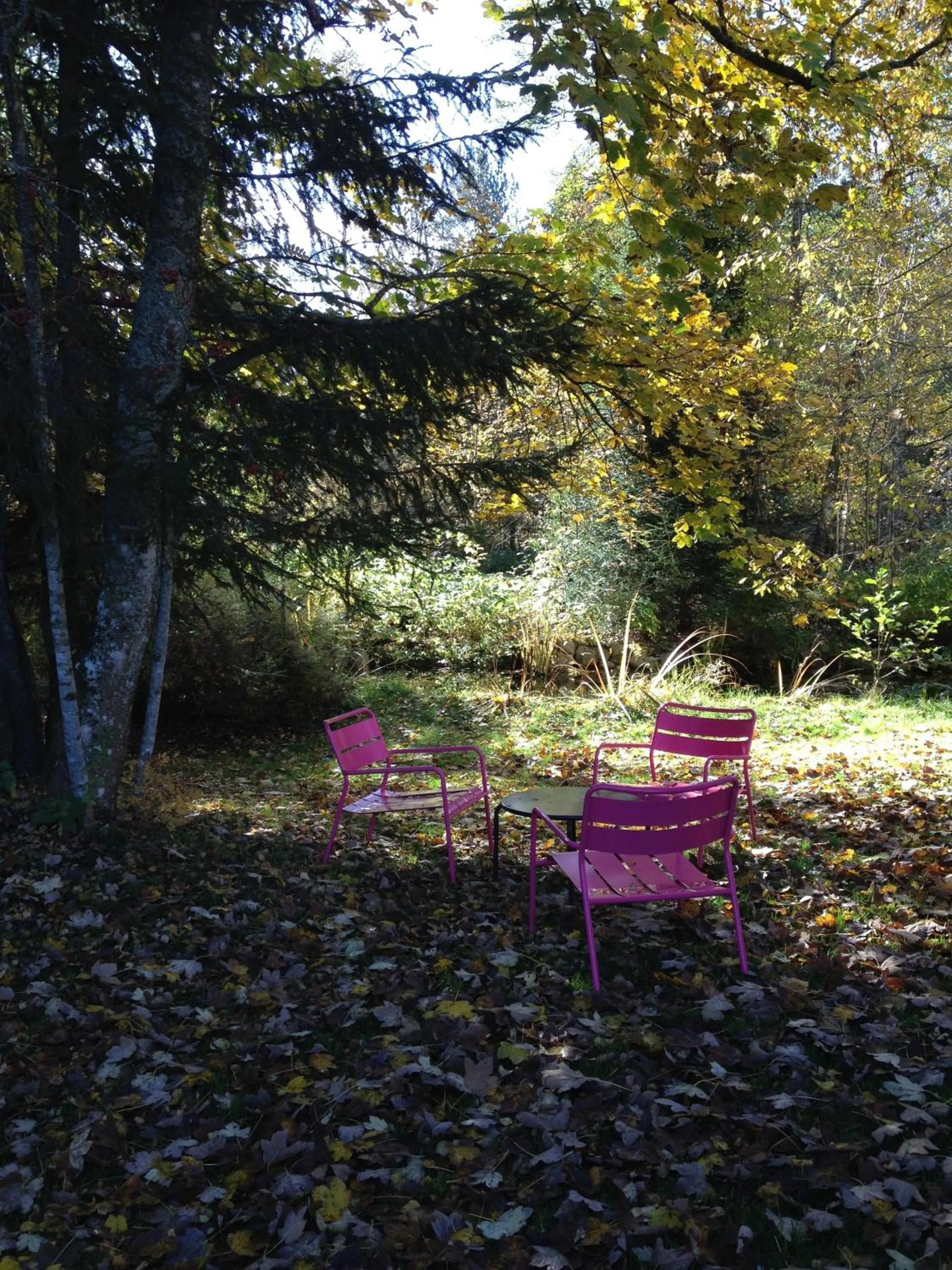 Day in Hotel am Bach