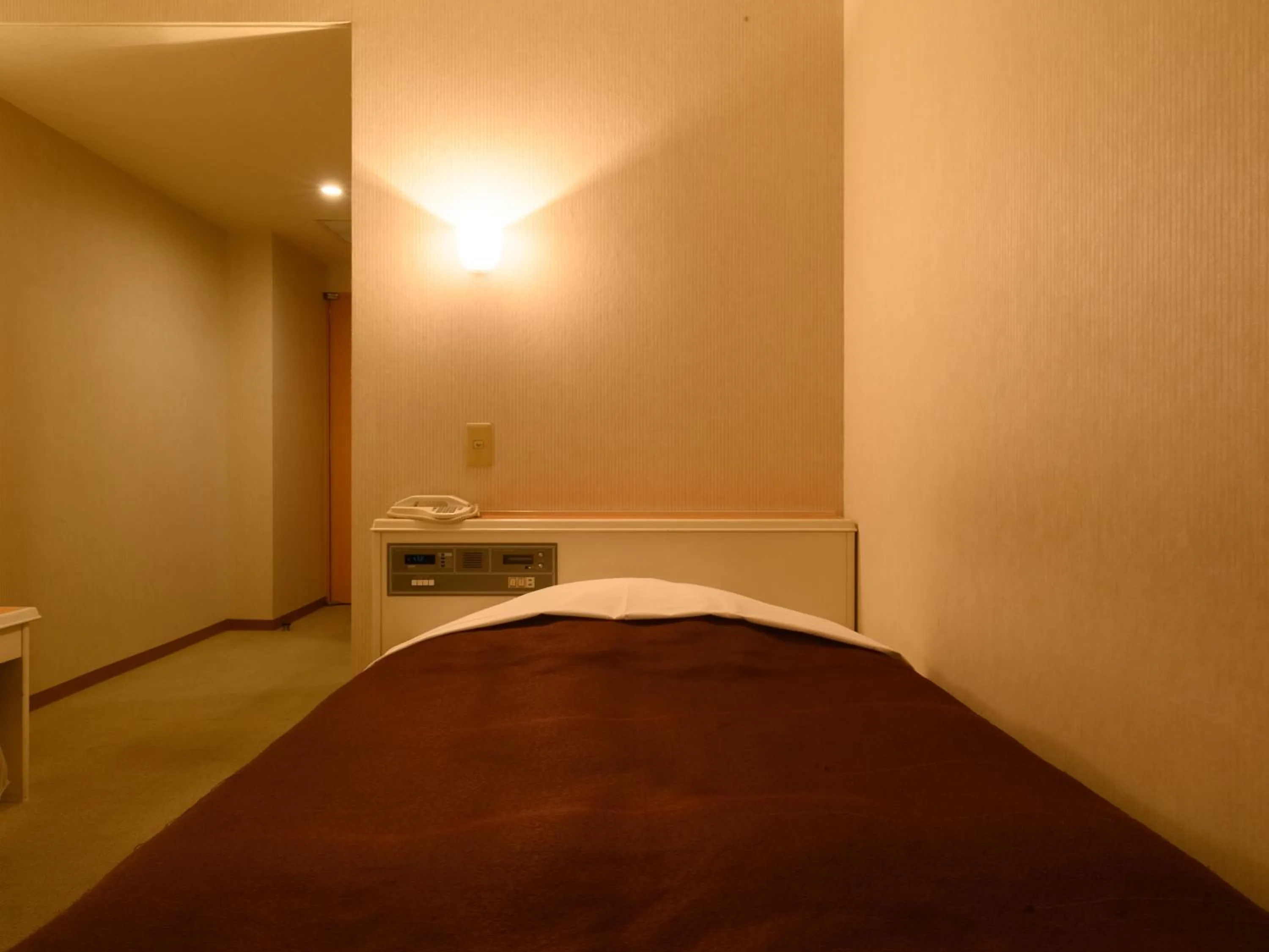 Photo of the whole room, Bed in Sabae City Hotel