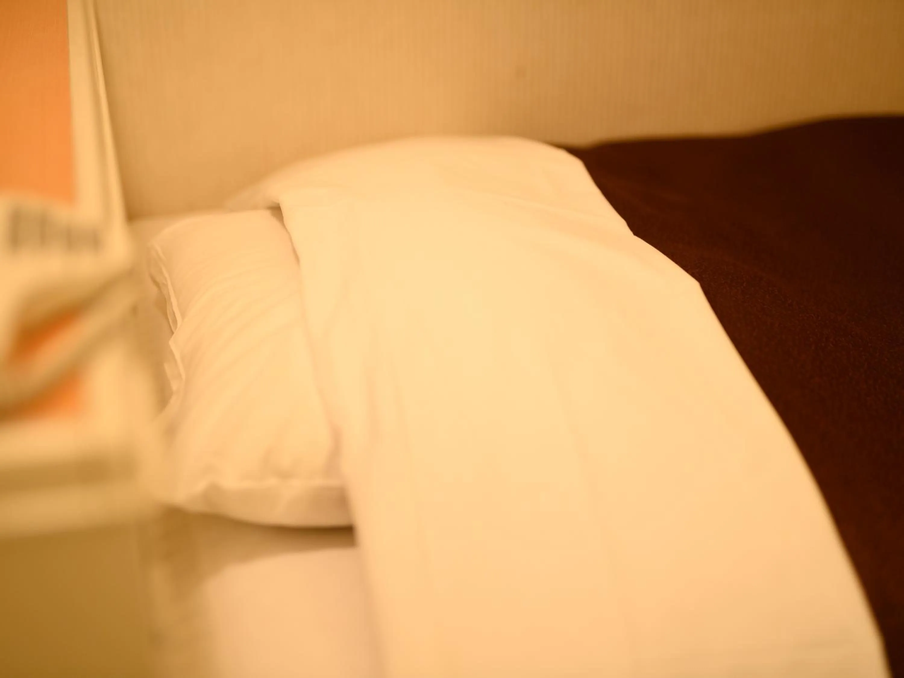 Photo of the whole room, Bed in Sabae City Hotel