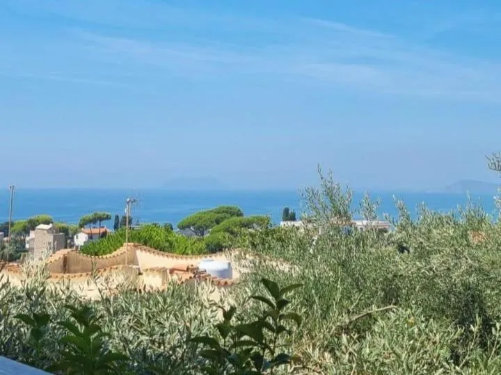 View (from property/room) in Hotel Belvedere