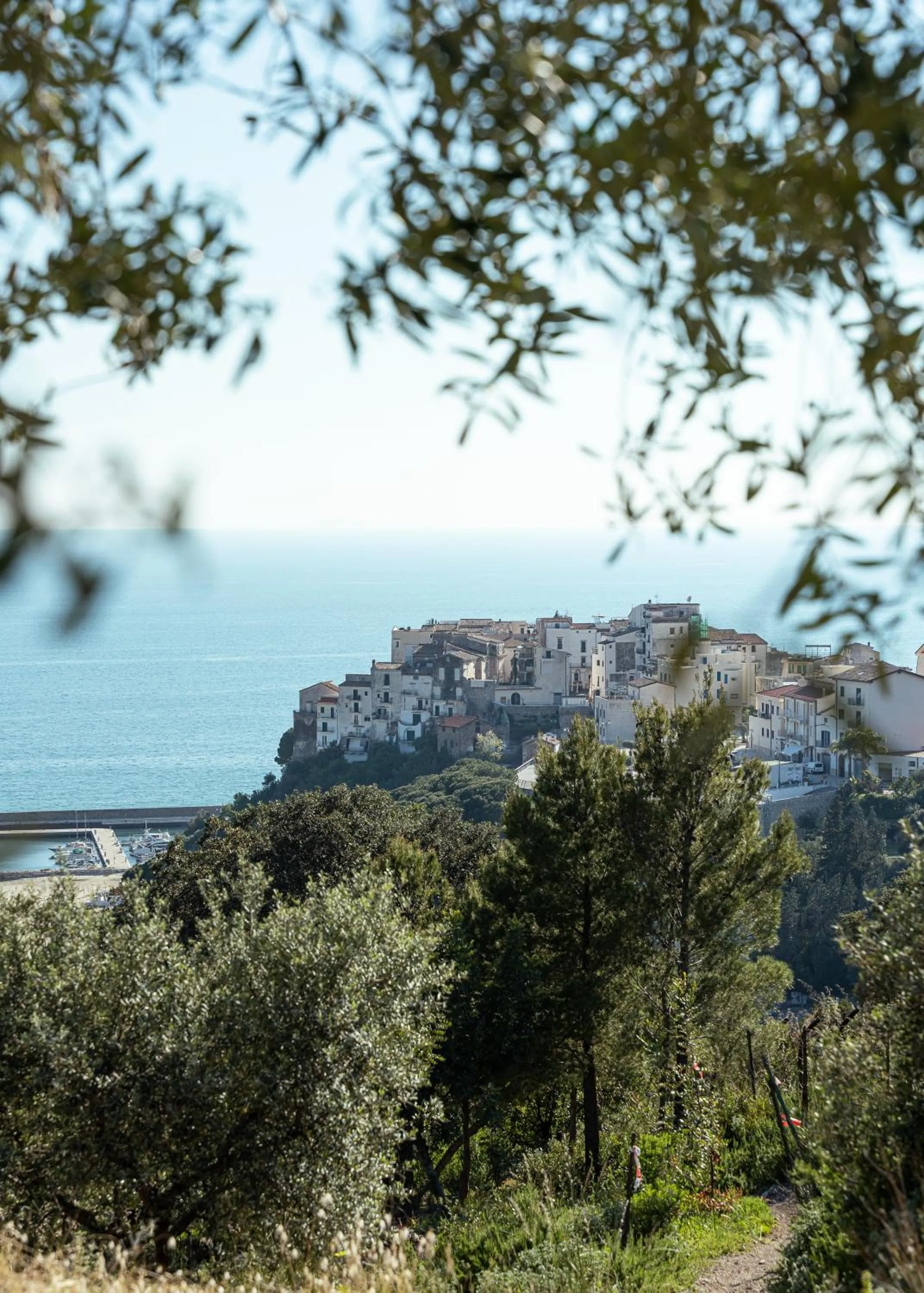 City view in Hotel Belvedere