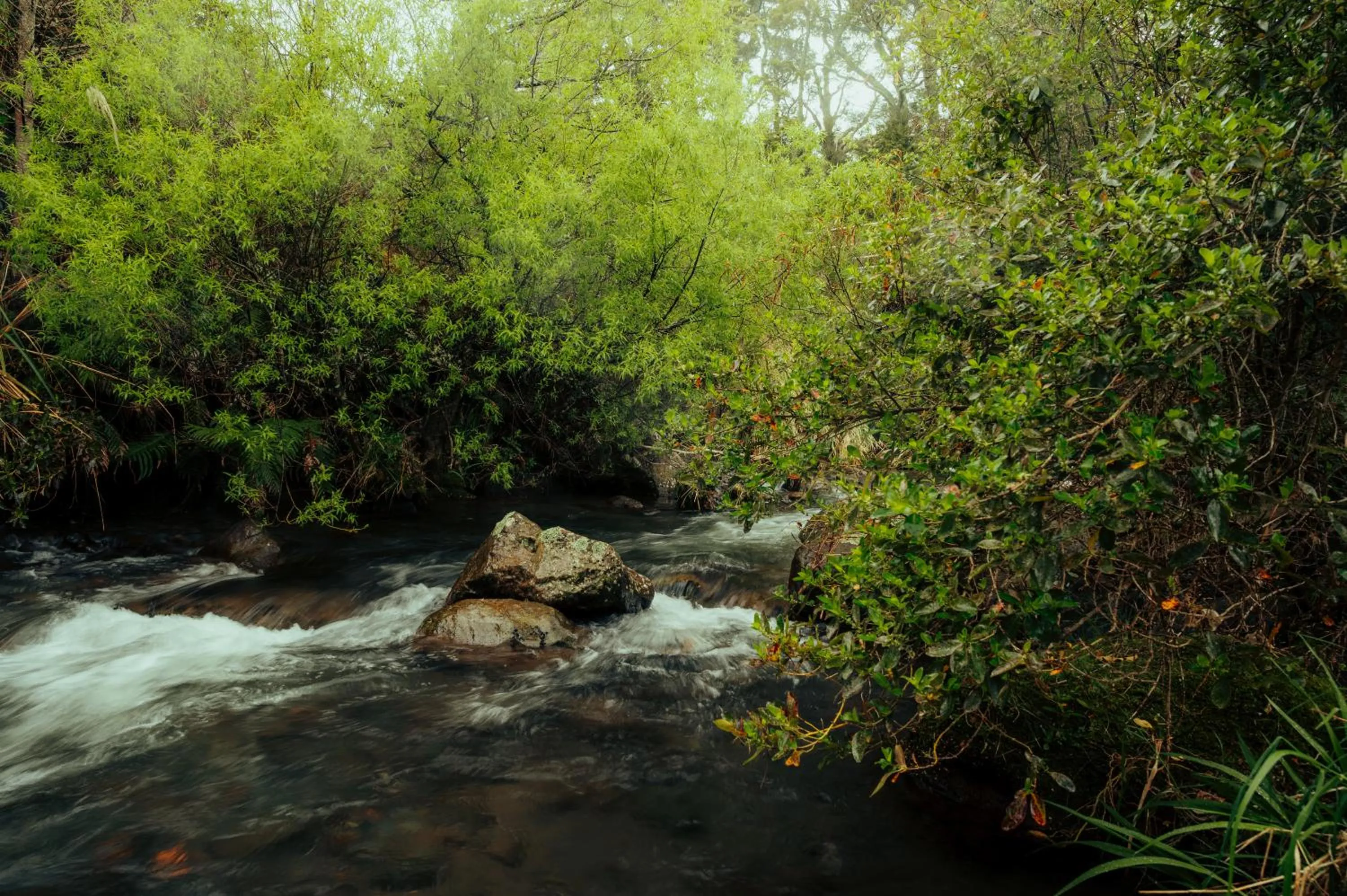 River view in Two Rivers Ohakune - Boutique Bed and Breakfast