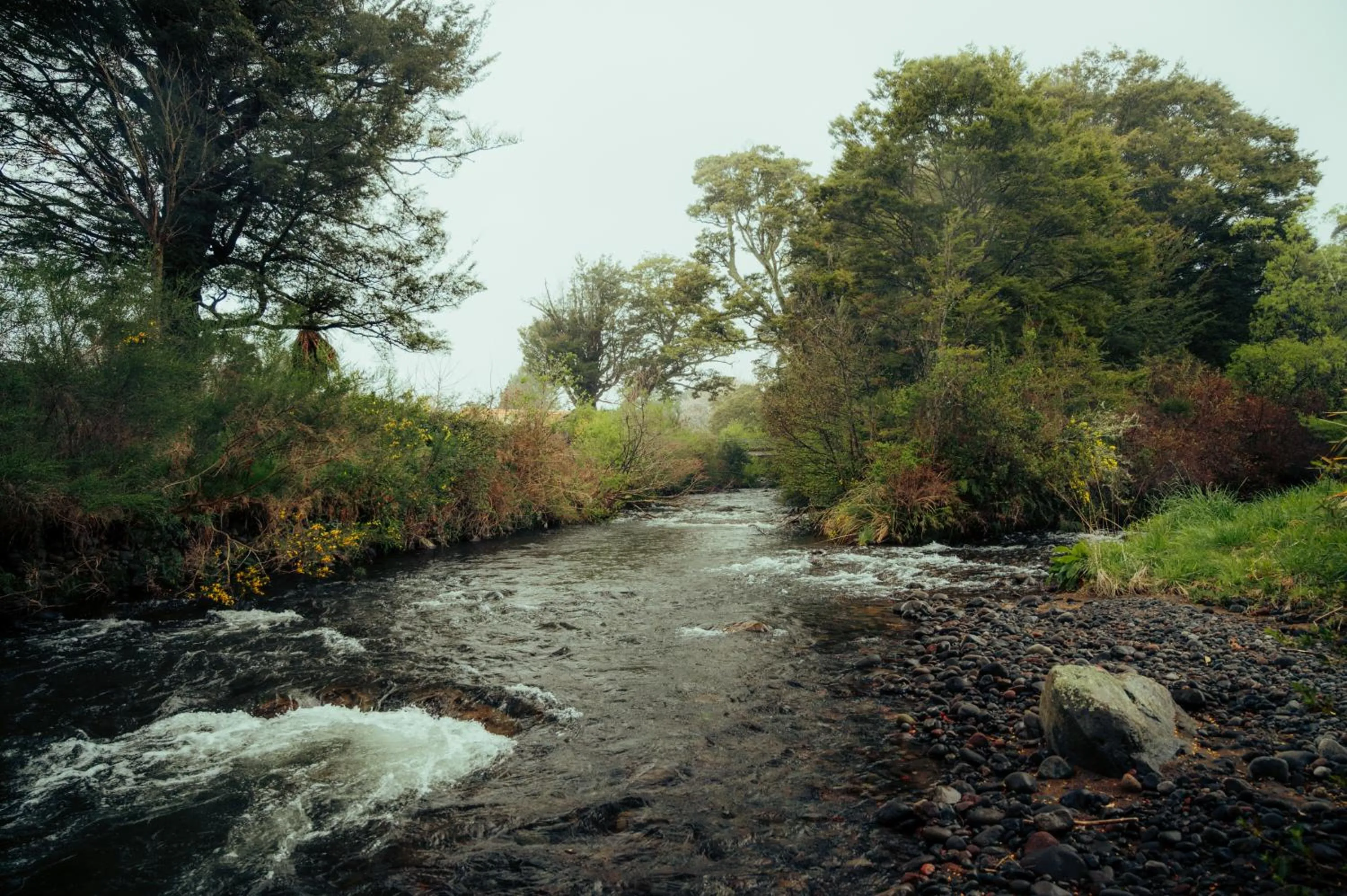River view in Two Rivers Ohakune - Boutique Bed and Breakfast