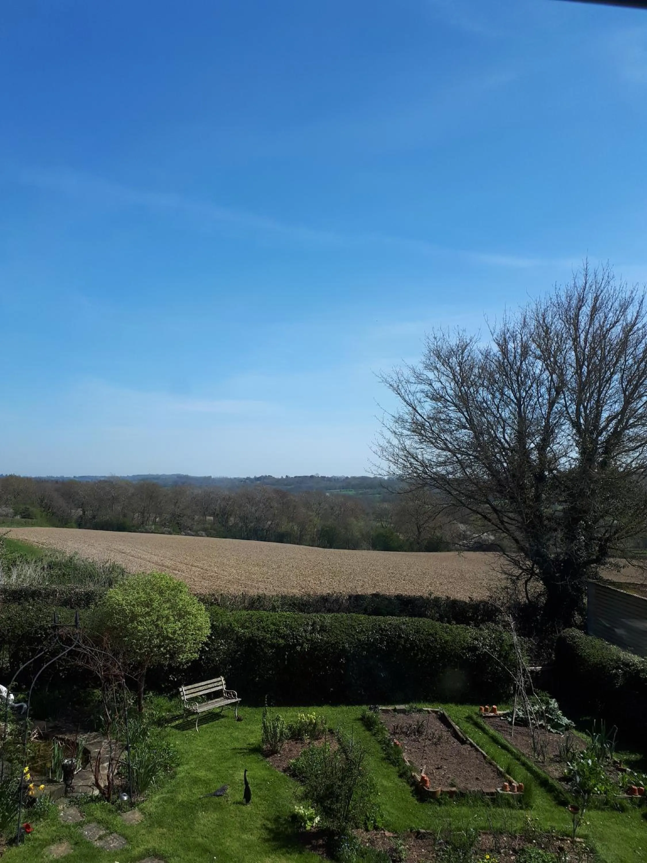 Garden view in Court Barn Cottage B&B