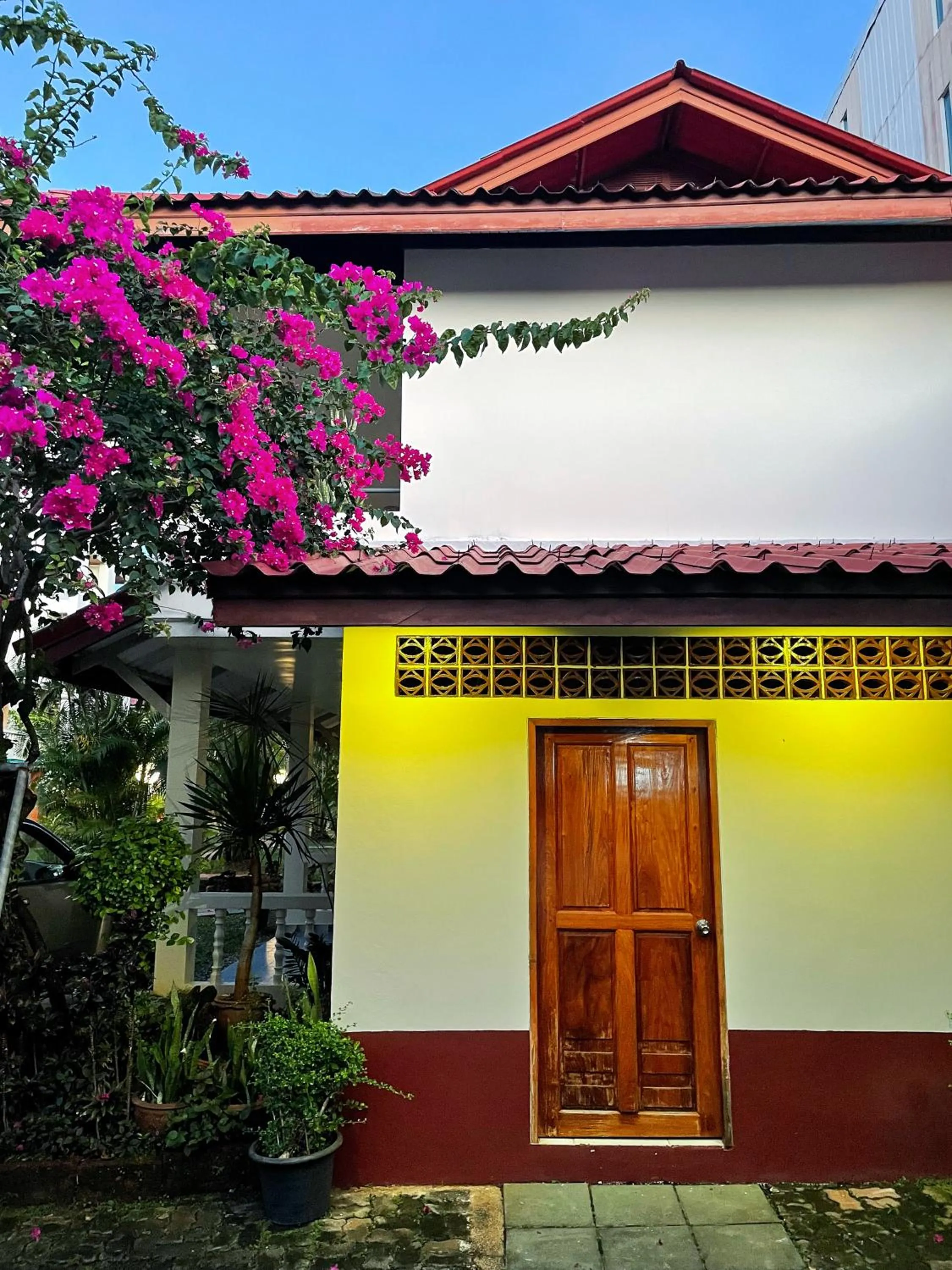 Property building in Patong Palace Hotel - SHA Extra Plus