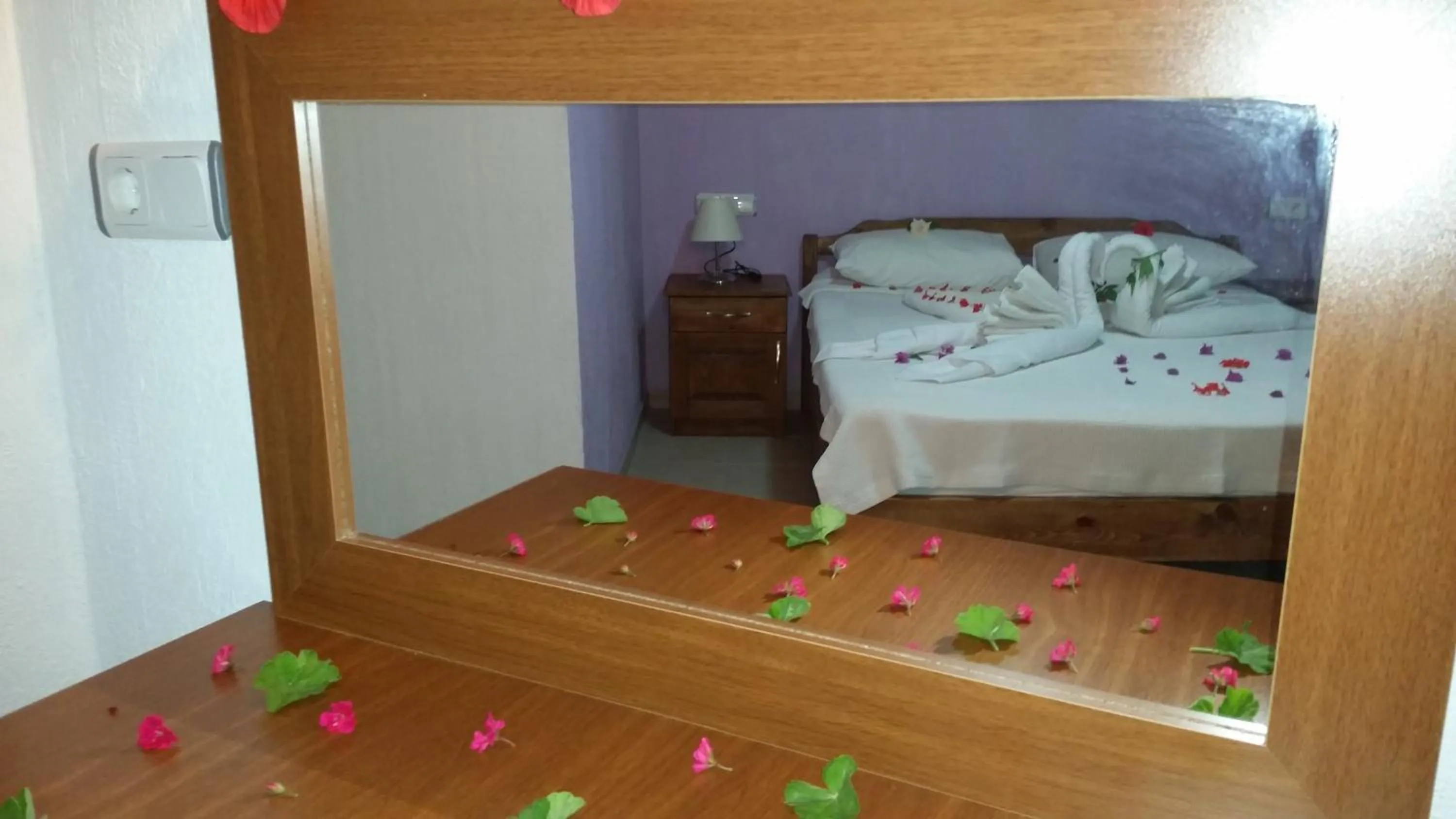 bunk bed in Hotel Riverside