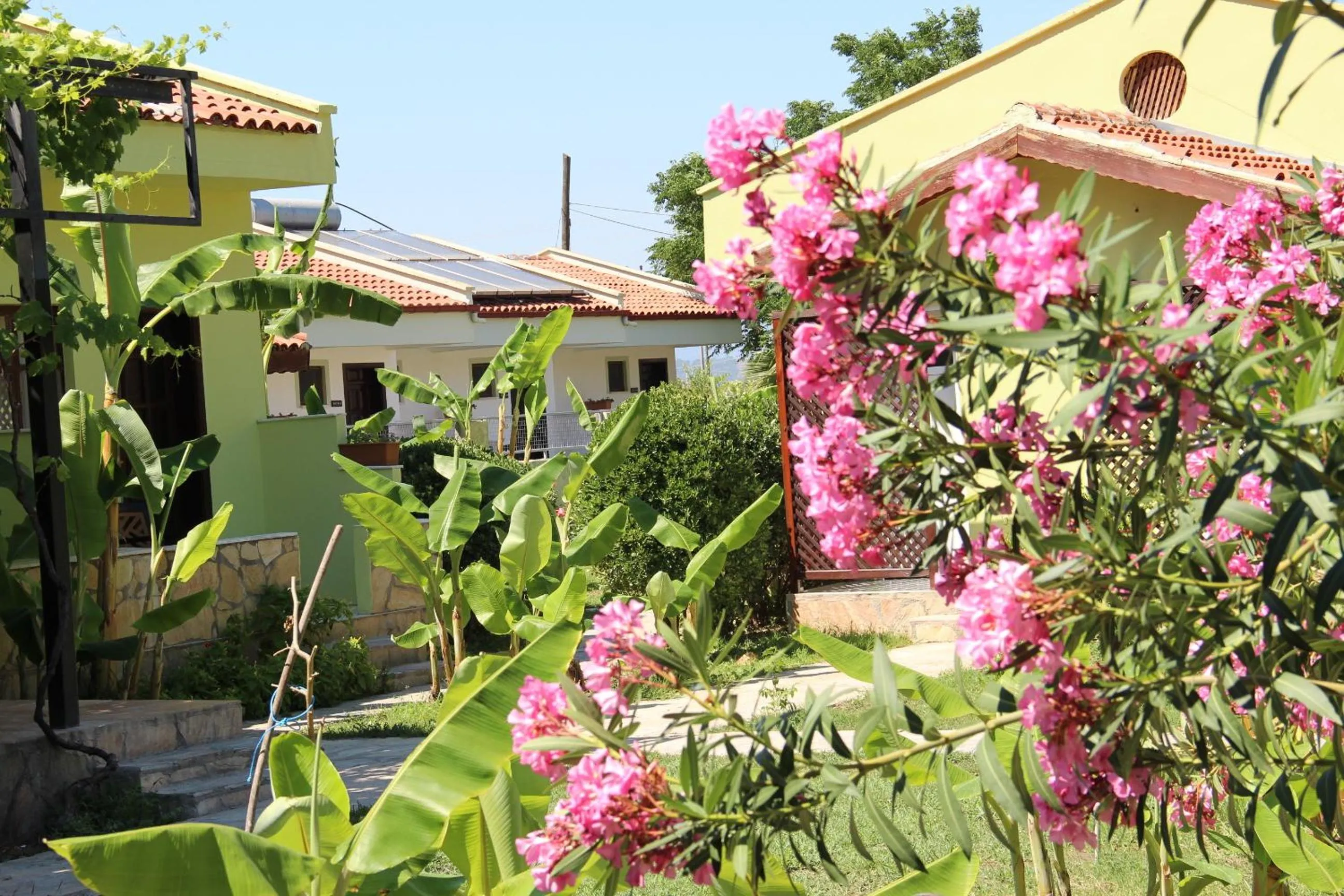 Garden view in Hotel Riverside