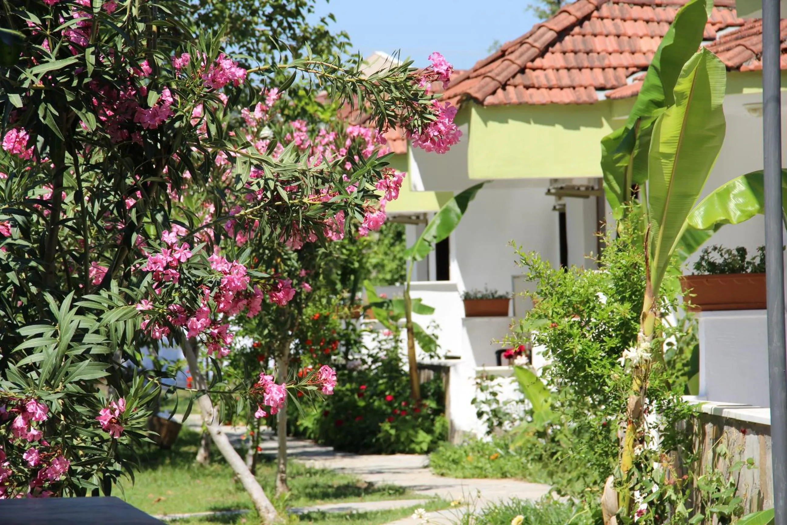 Garden in Hotel Riverside