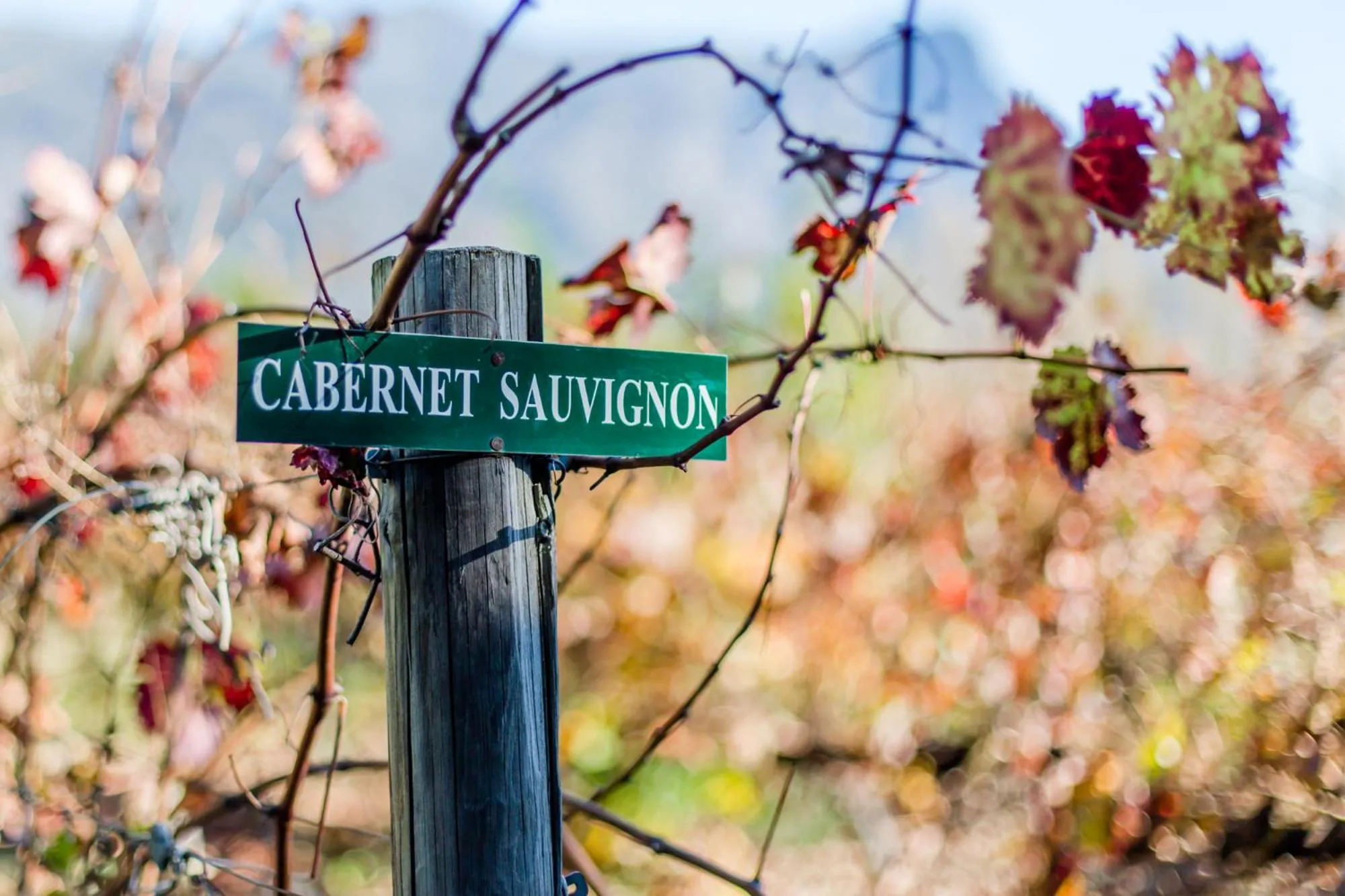Natural landscape in Le Manoir de Brendel