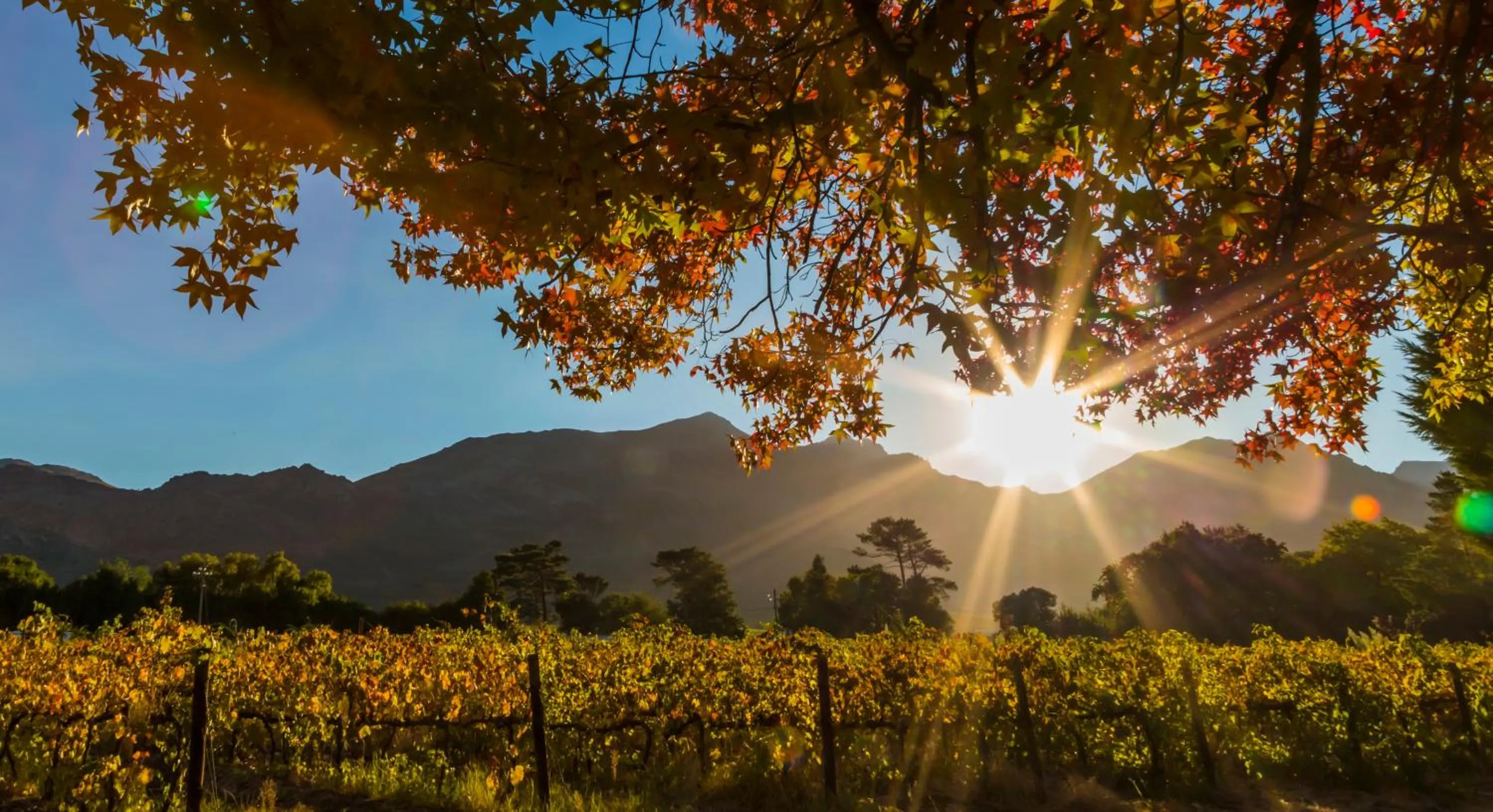 Mountain view in Le Manoir de Brendel
