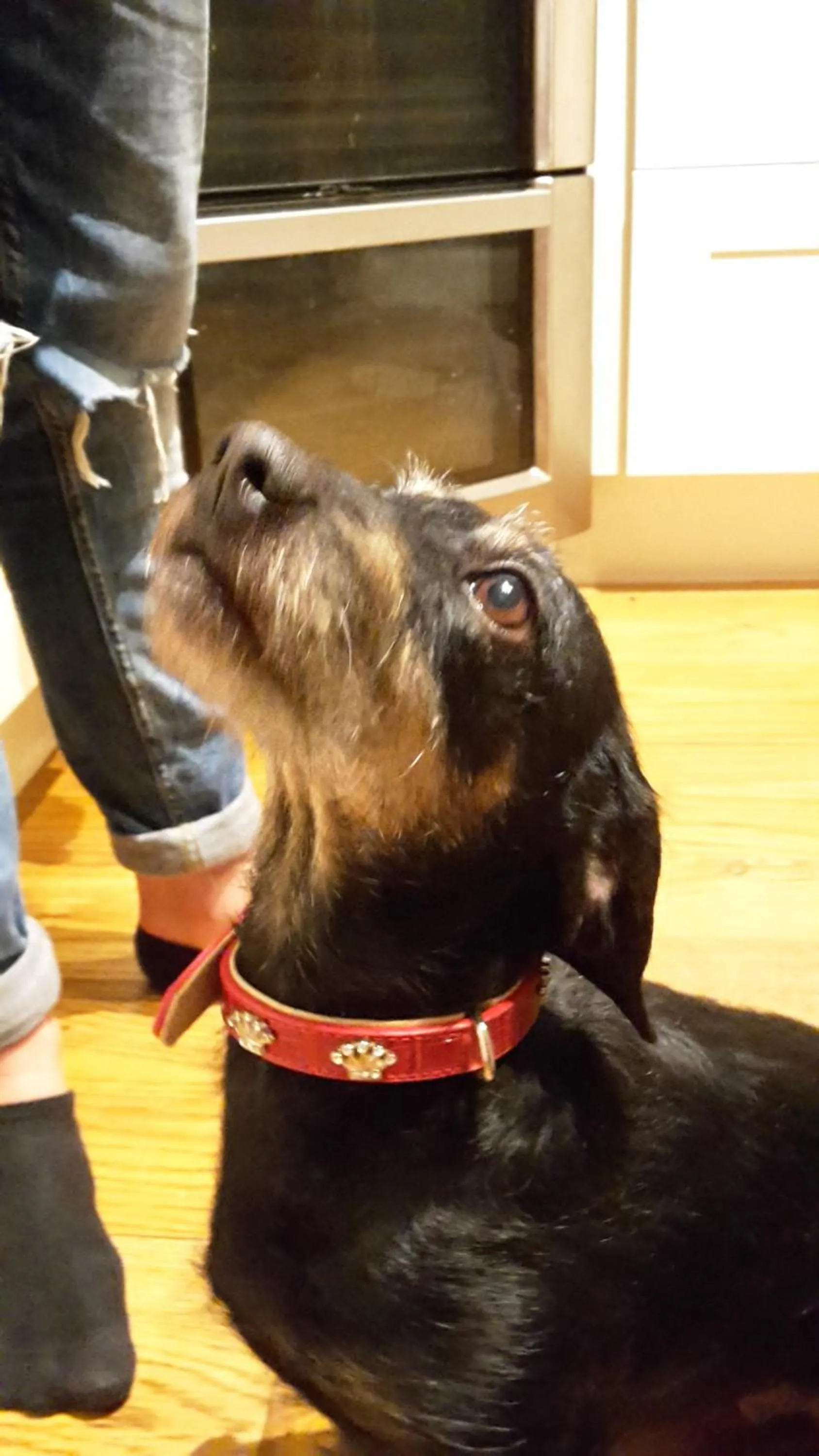 Älgbergets Bed & Breakfast