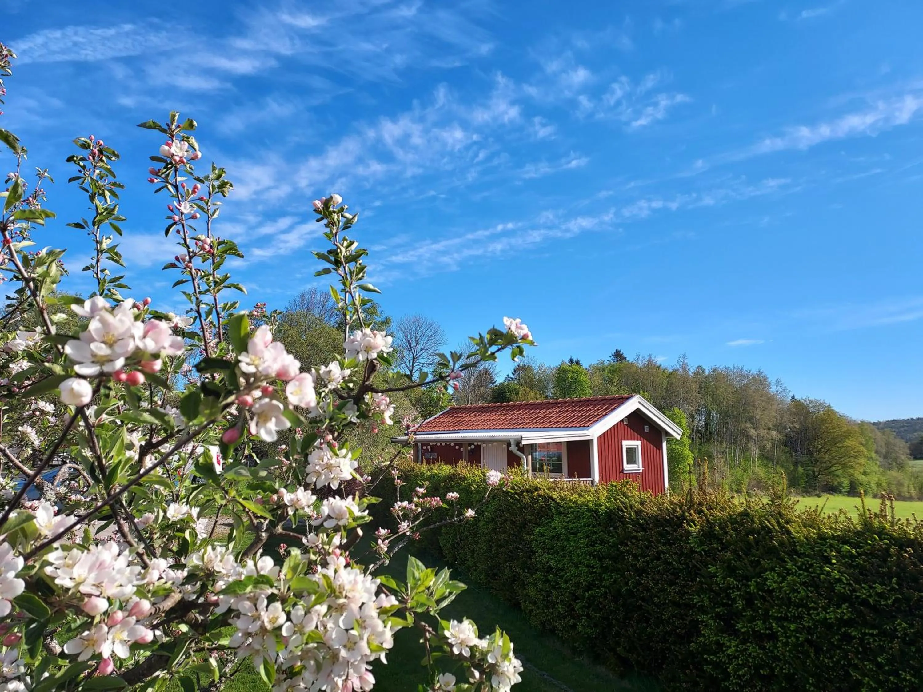 Garden view in Älgbergets Bed & Breakfast