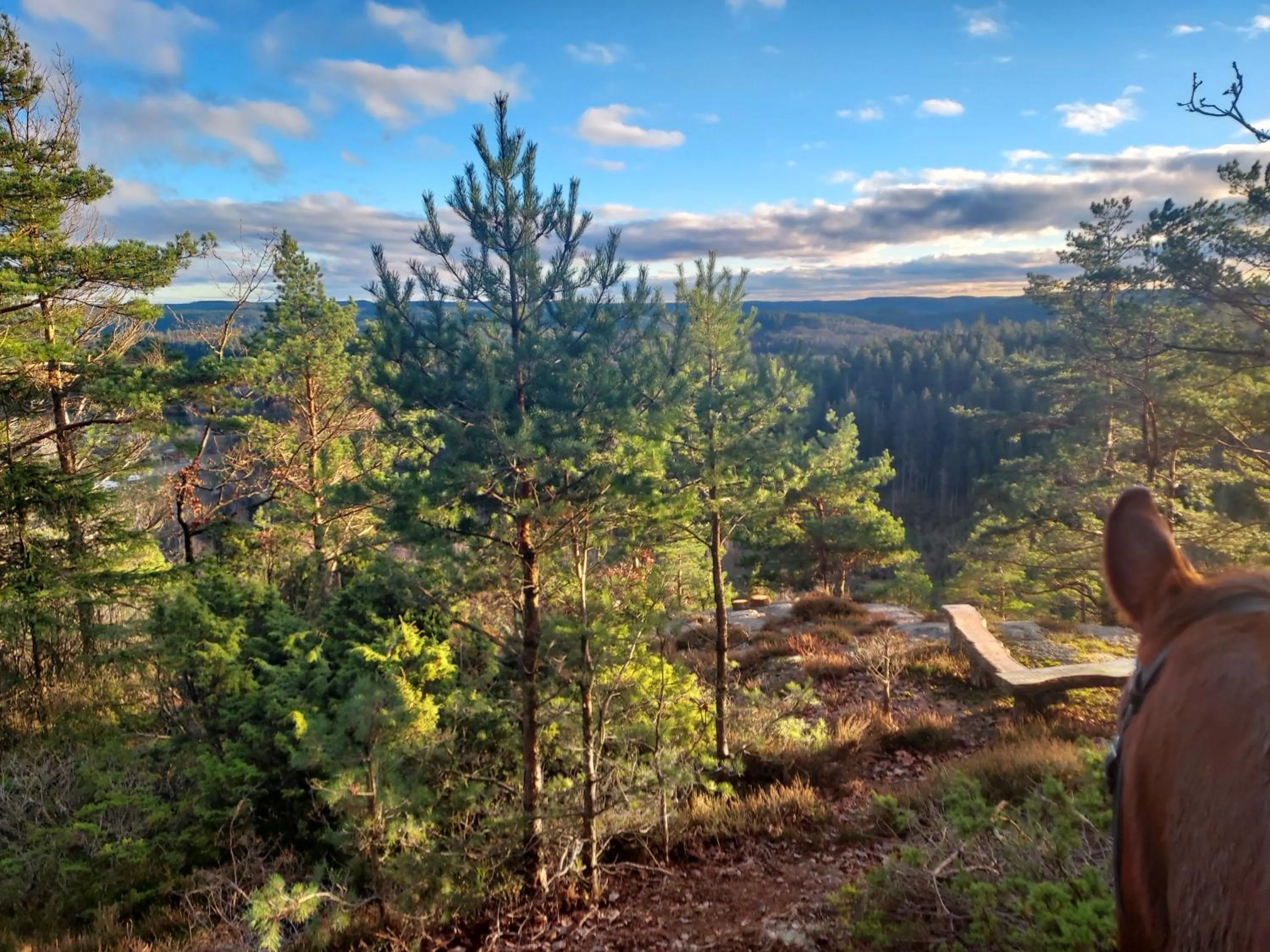 Älgbergets Bed & Breakfast