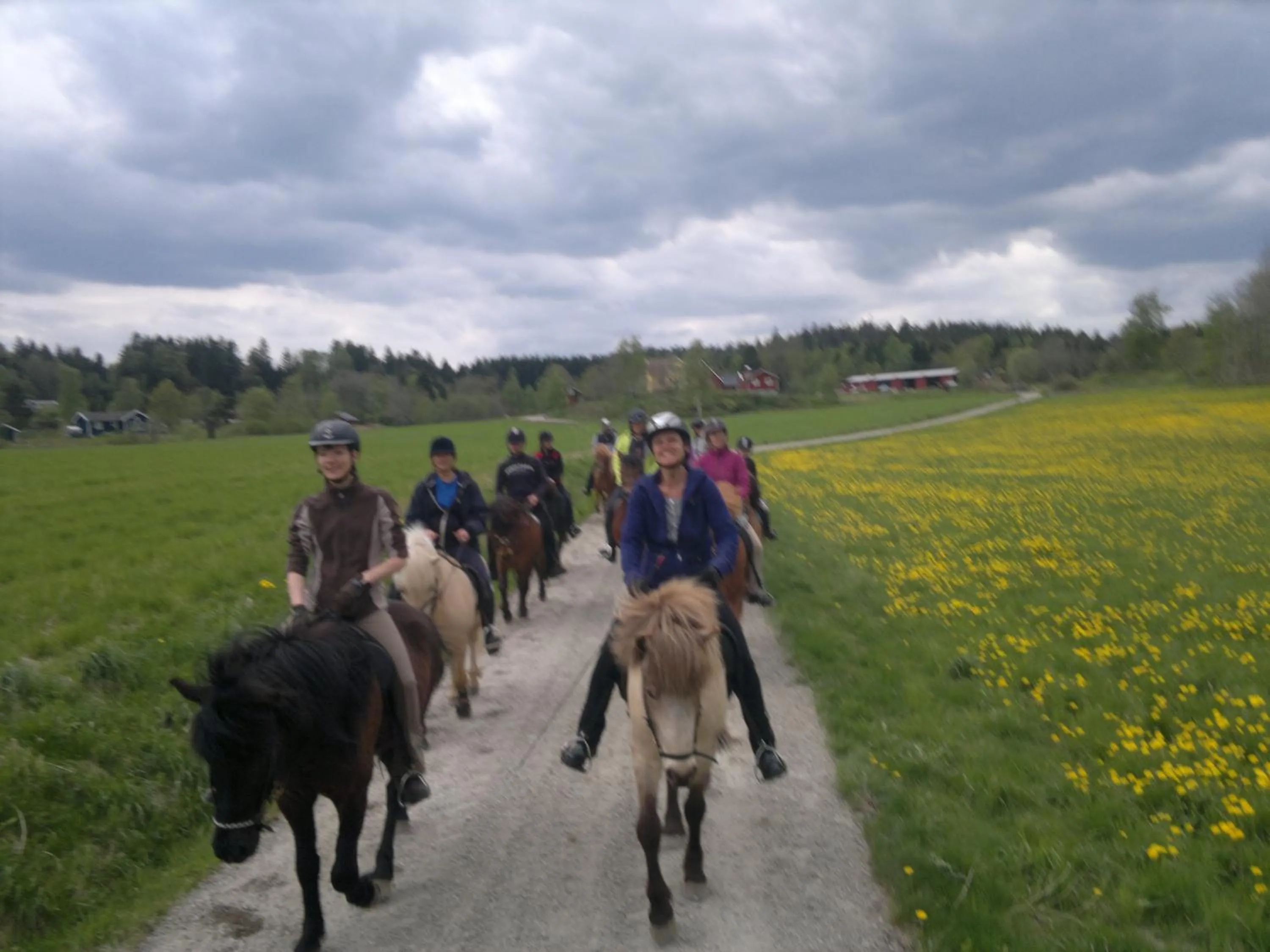 Horse-riding in Älgbergets Bed & Breakfast