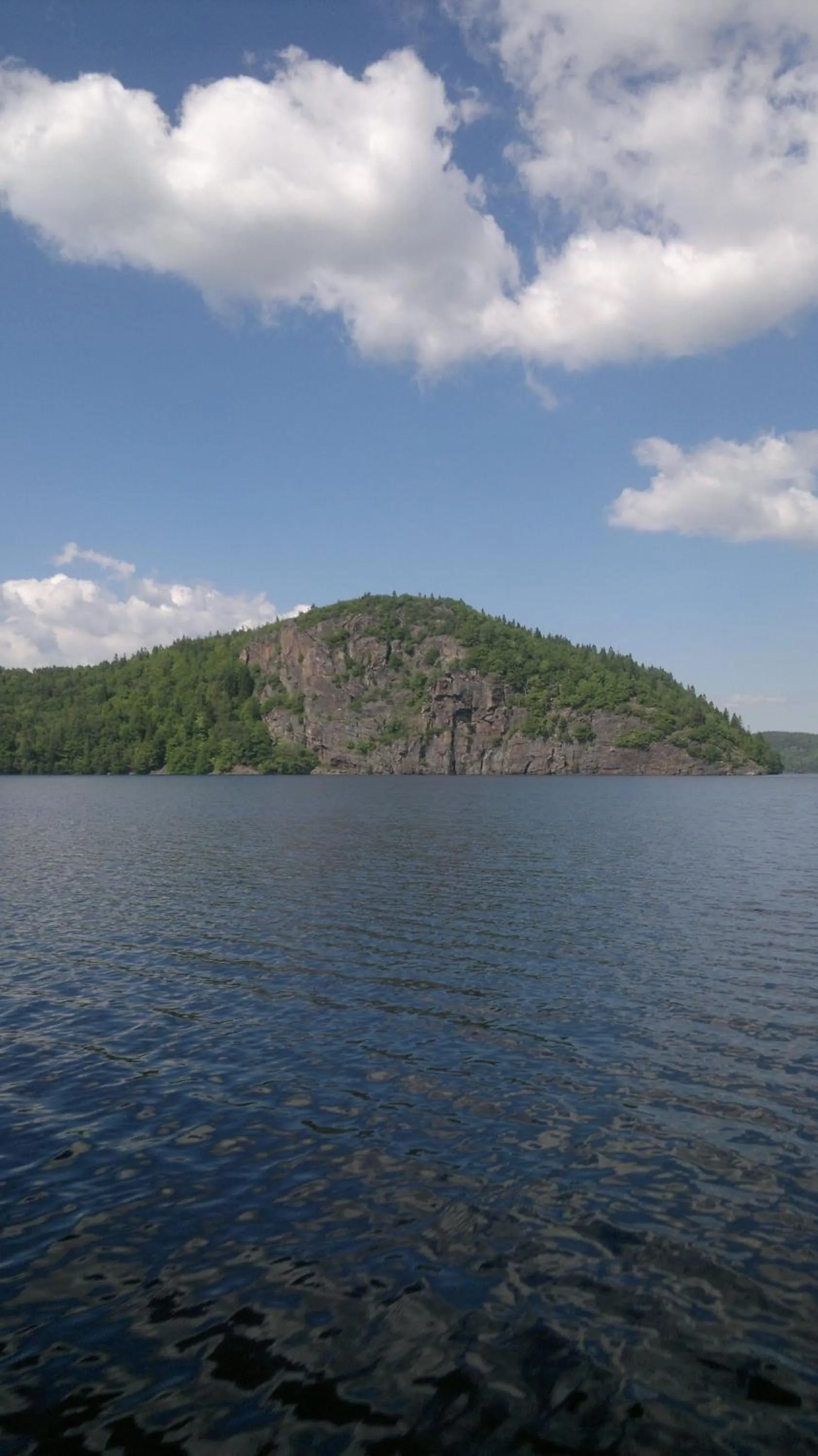 View (from property/room) in Älgbergets Bed & Breakfast